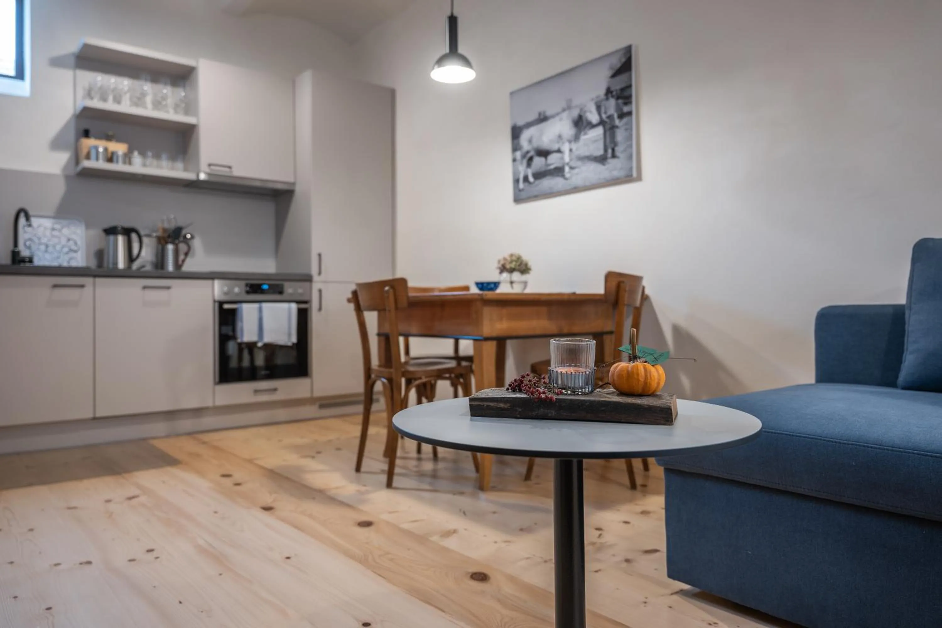 Kitchen or kitchenette in Tschardakenhof Appartements