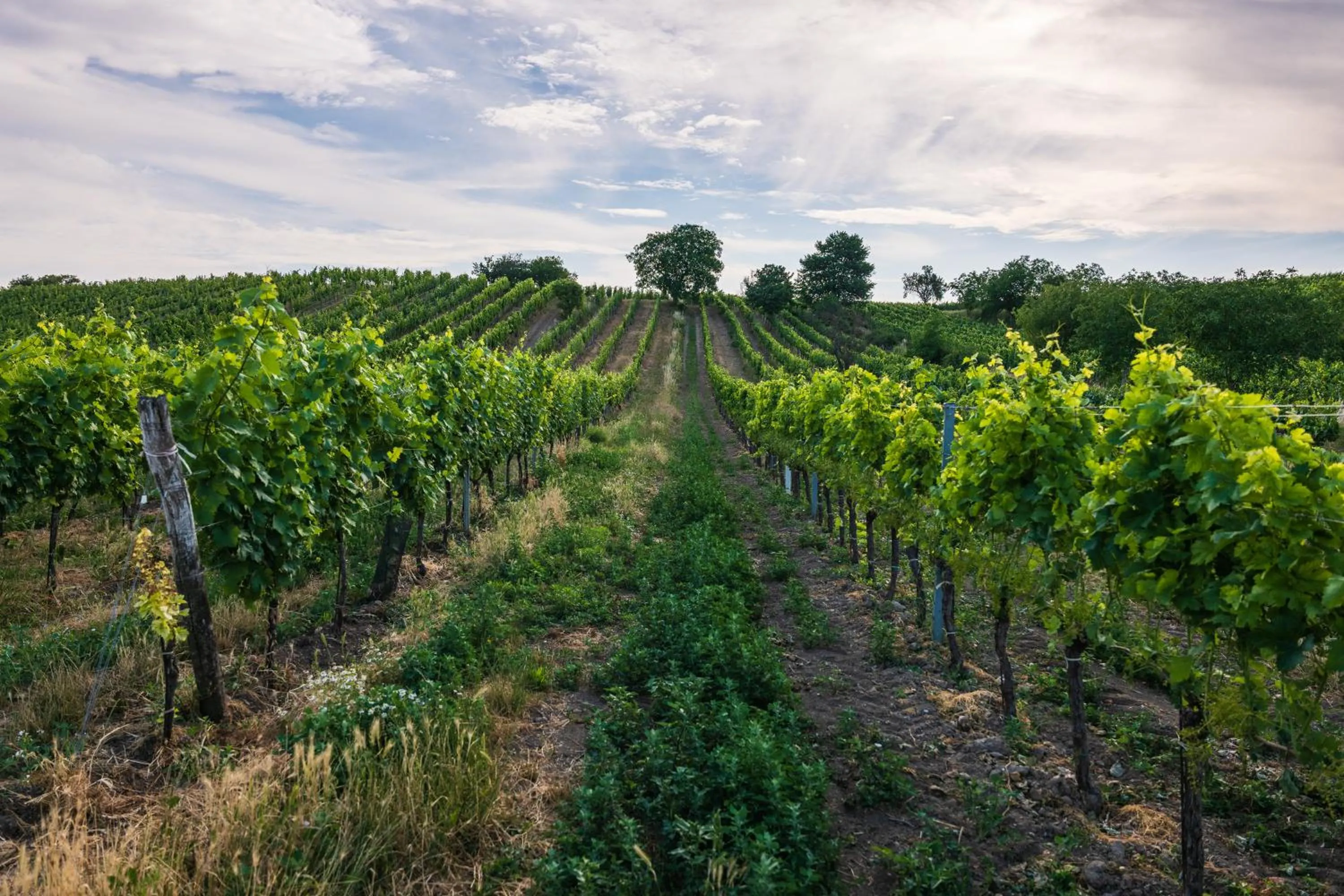 Natural landscape in Tschardakenhof Appartements