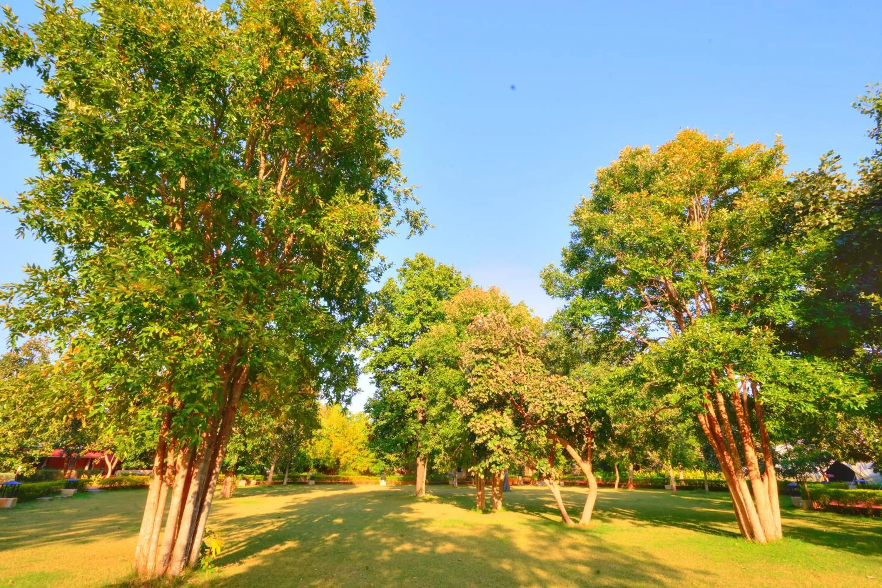 Garden in Bundela Bandhavgarh by Octave