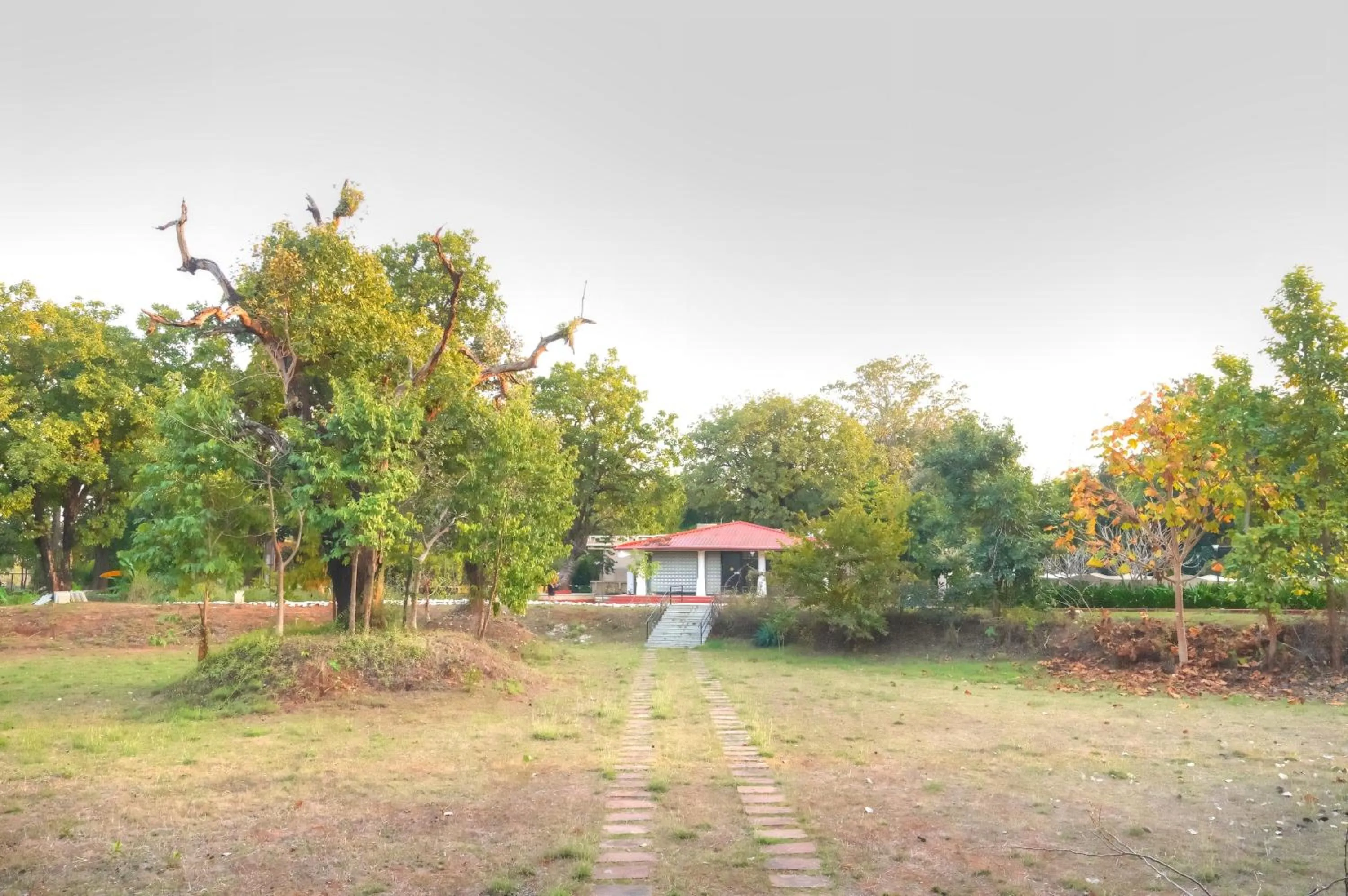 Garden in Bundela Bandhavgarh by Octave