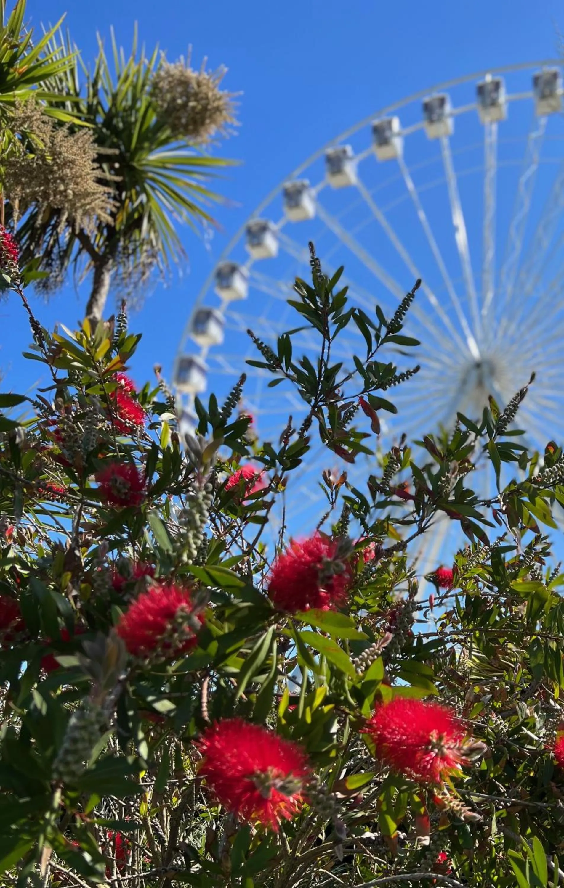 Beach in Pearl & Pebbles Eastbourne