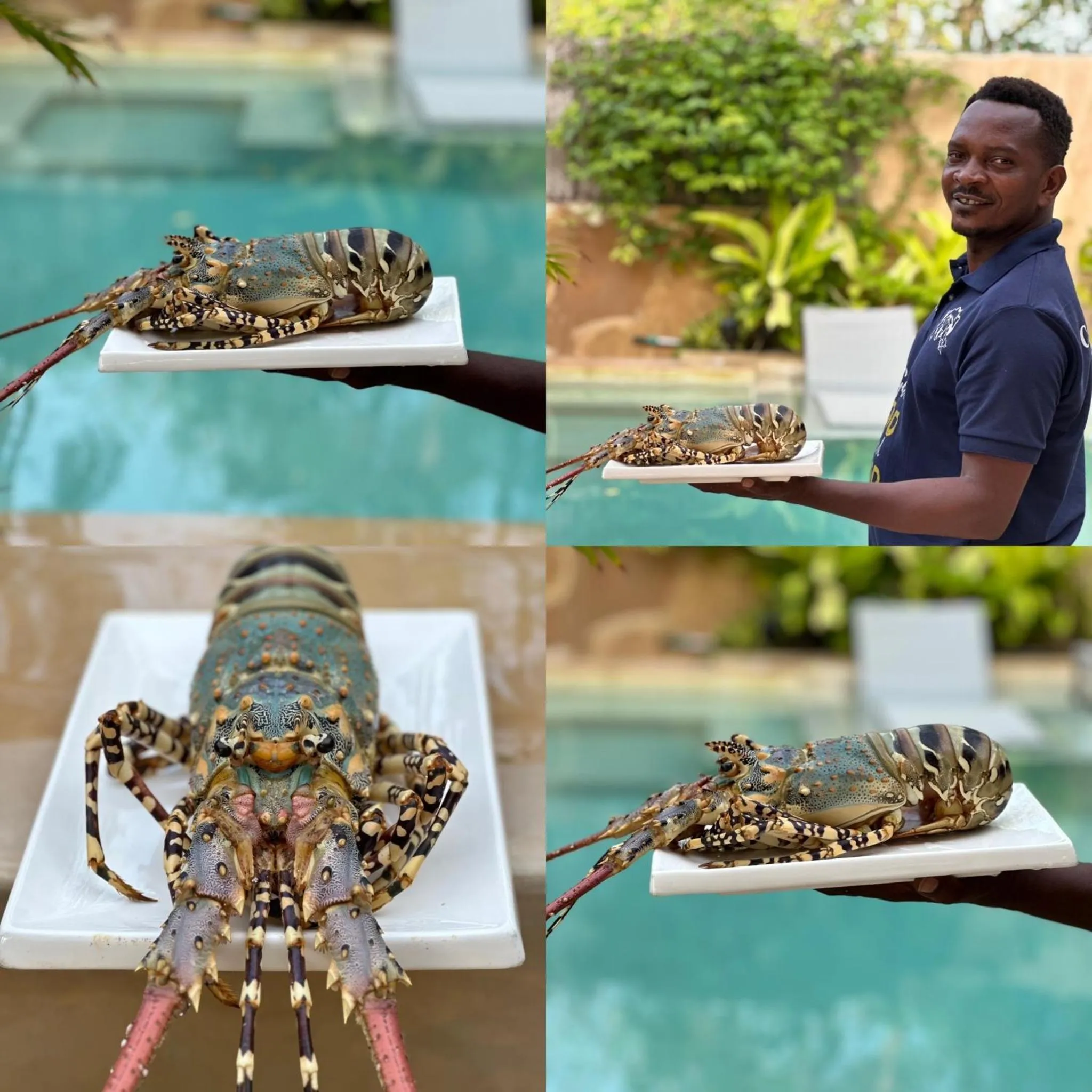 Chikachika Beach B&B