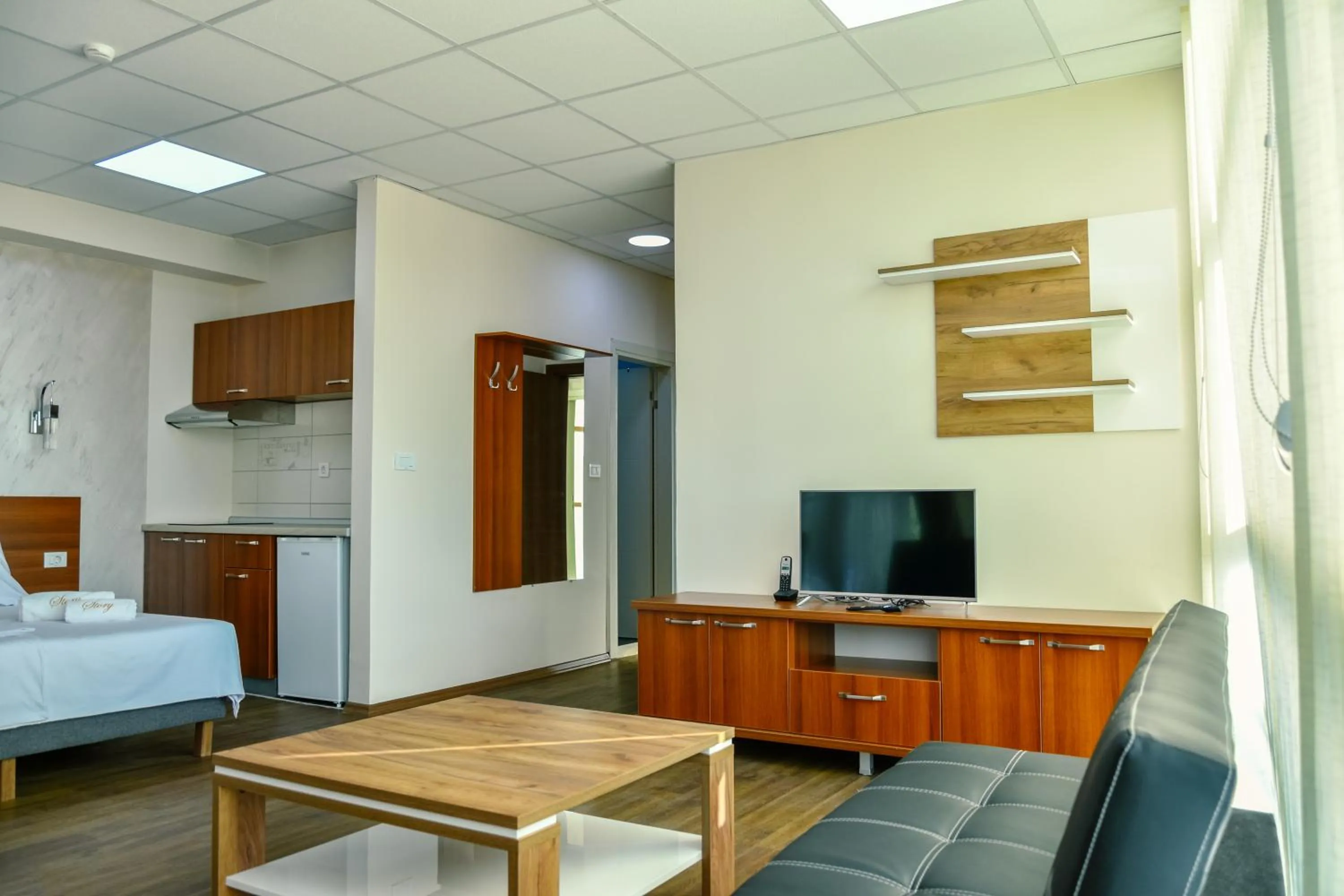 TV and multimedia in Hotel Story