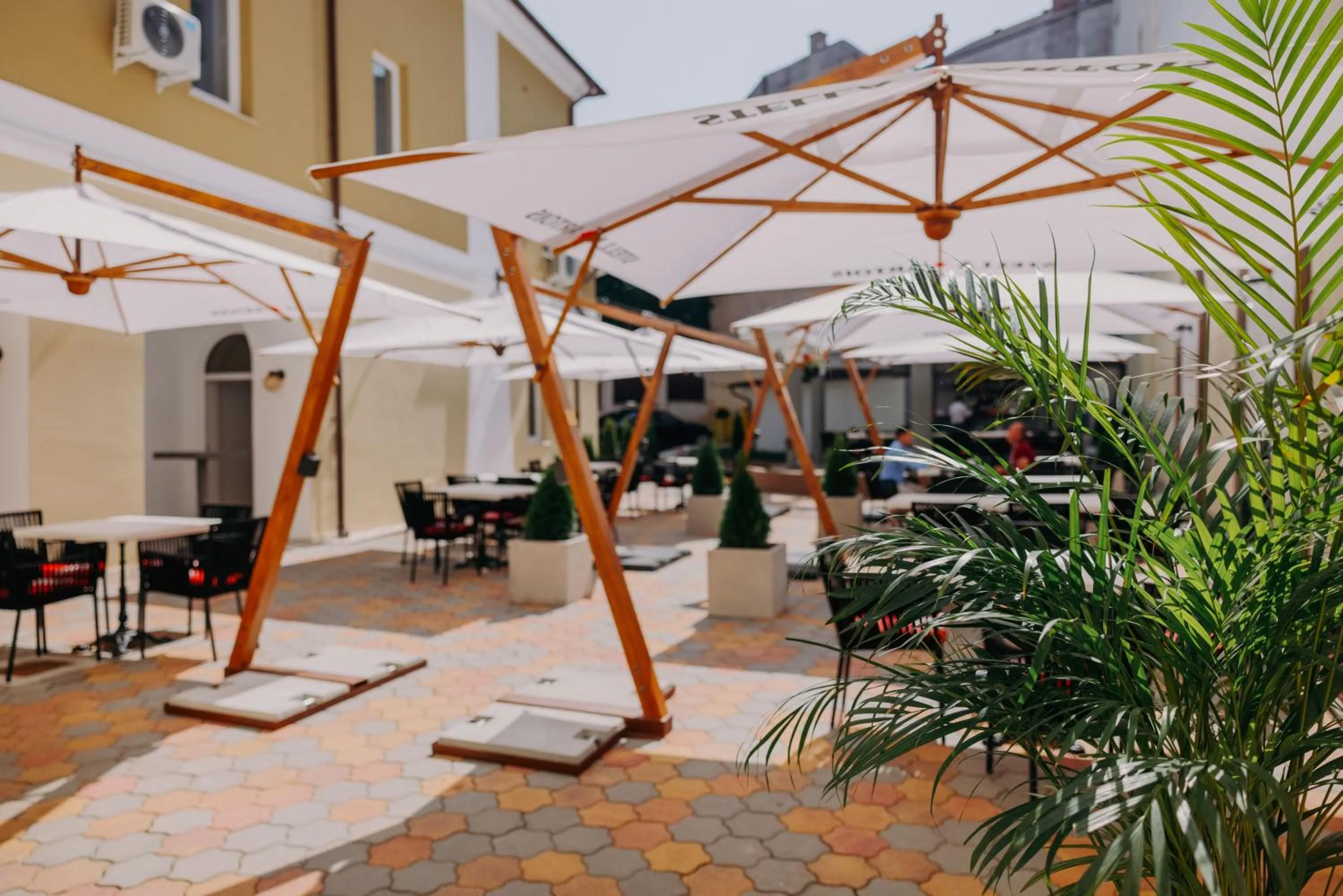 Garden in Haller Boutique