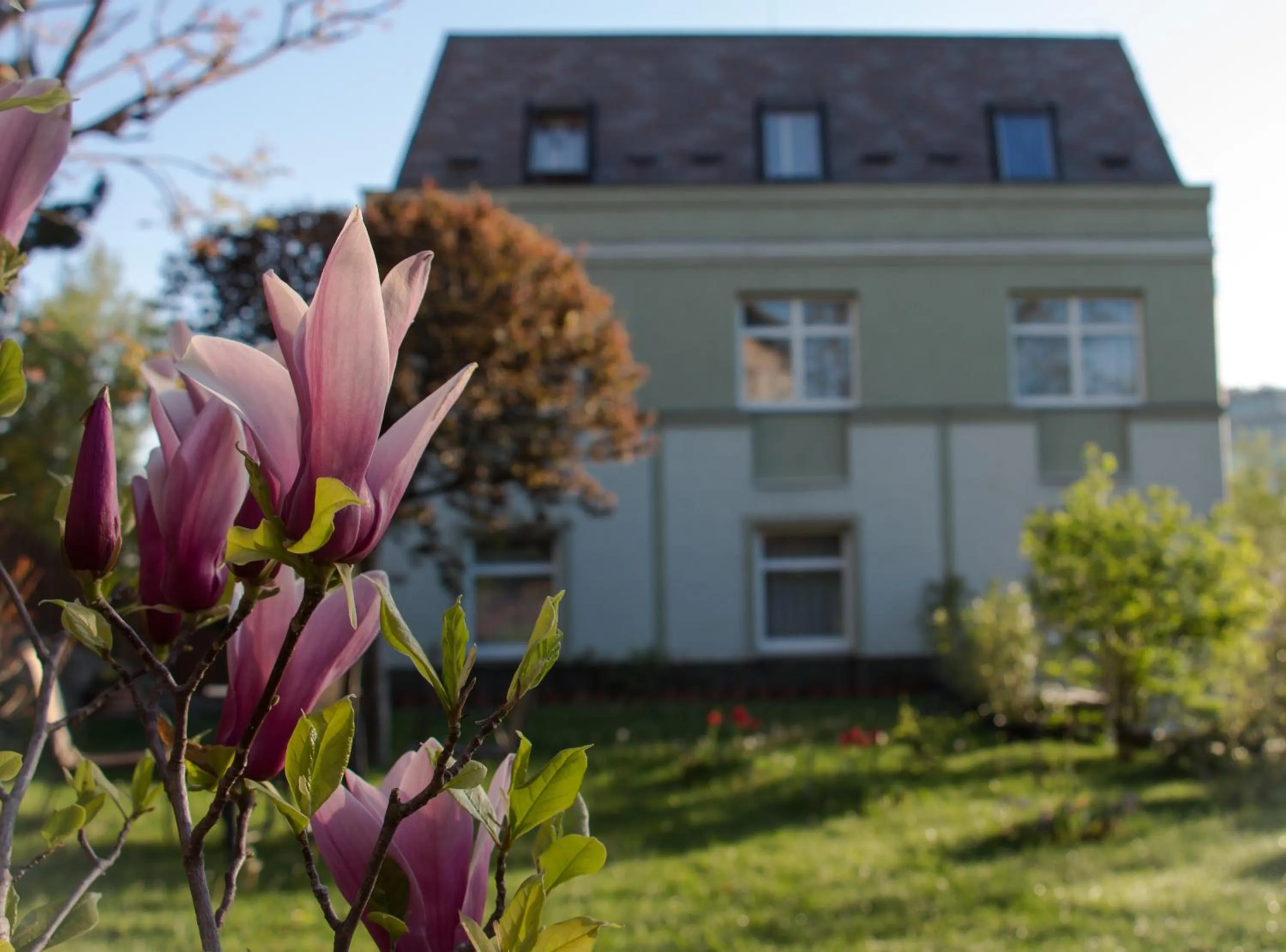 Garden in Jagelló Business Hotel