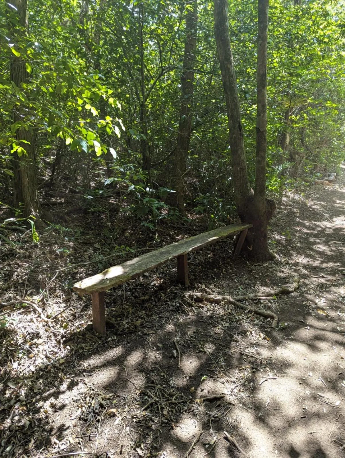 Hiking in El Nido Lodge