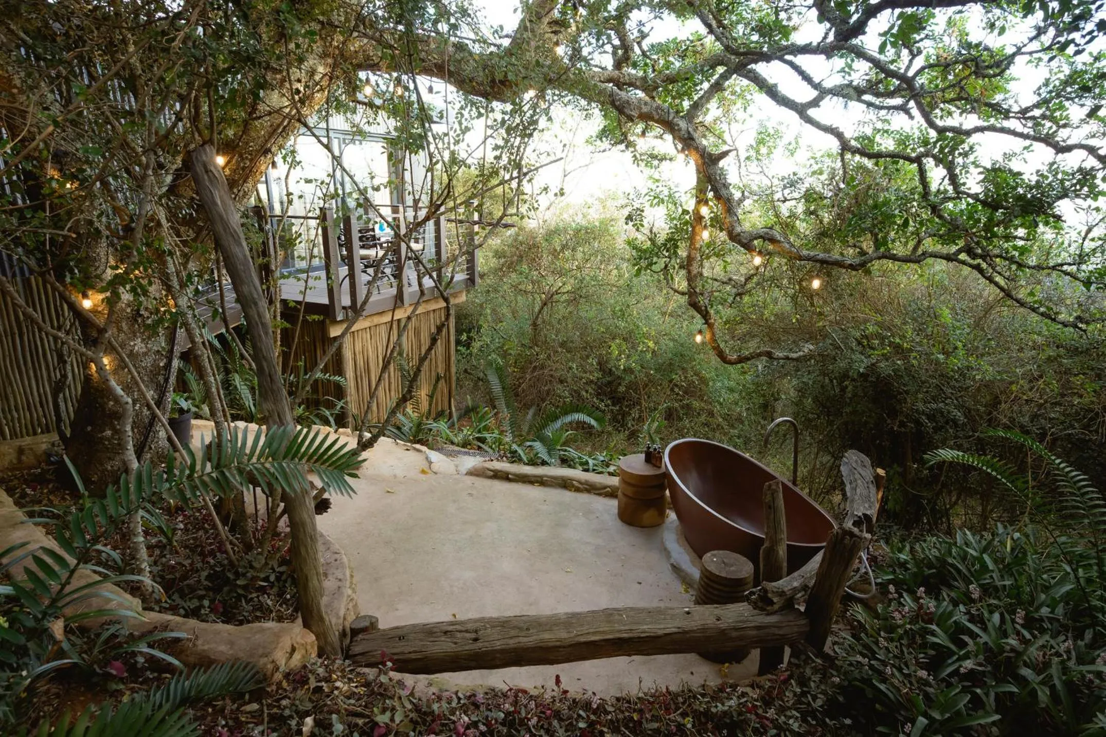 Camp Figtree by The Oyster Collection