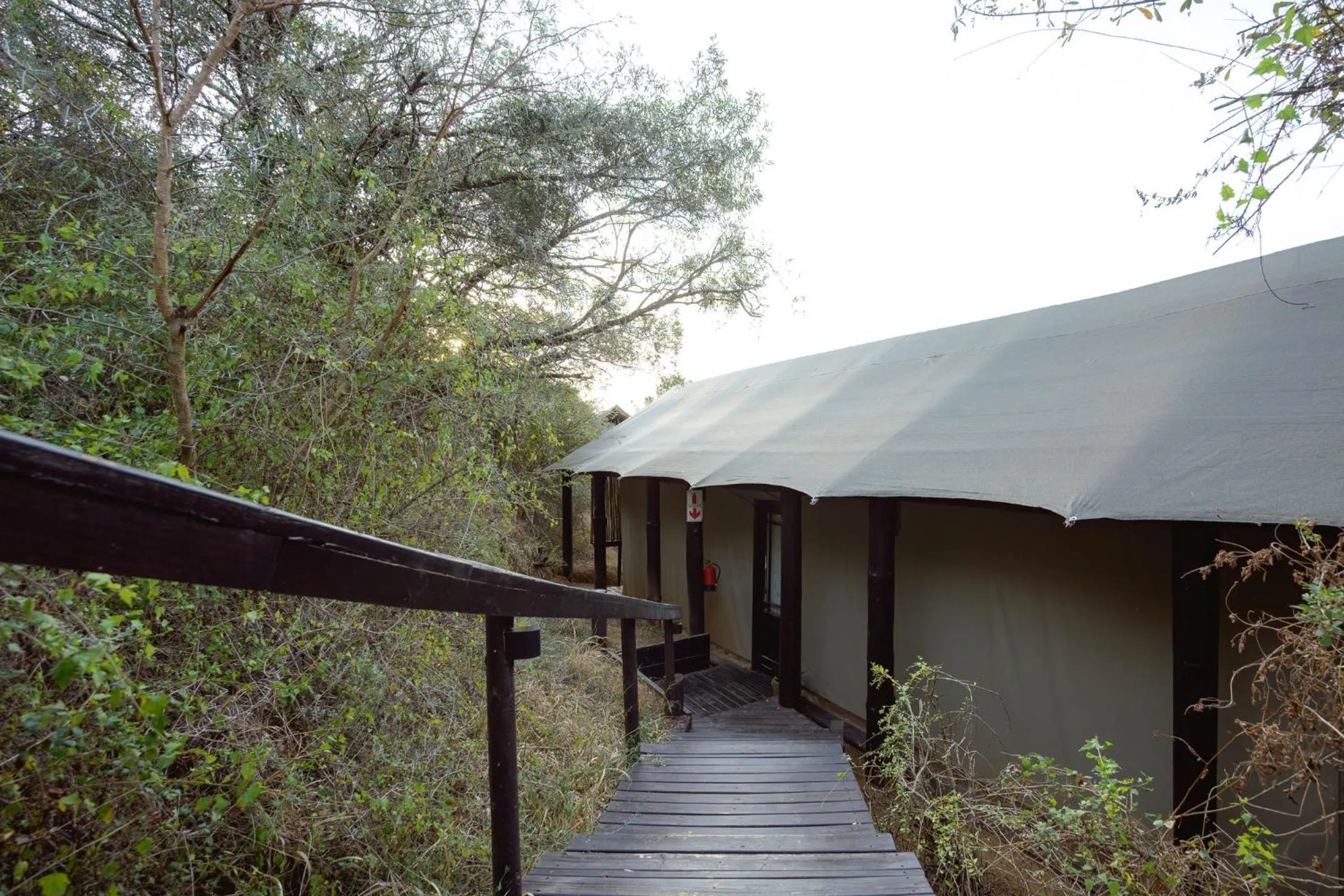 Camp Figtree by The Oyster Collection