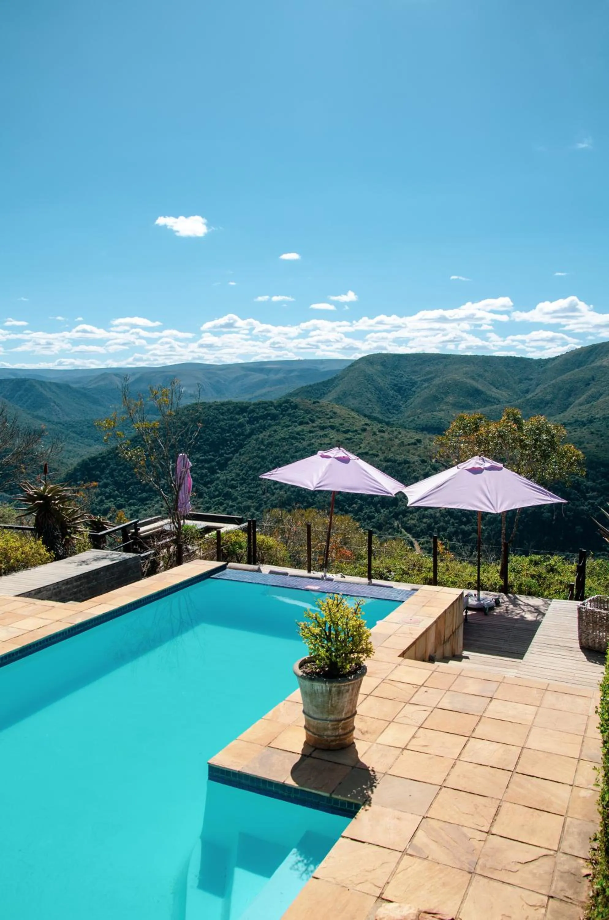 Camp Figtree by The Oyster Collection