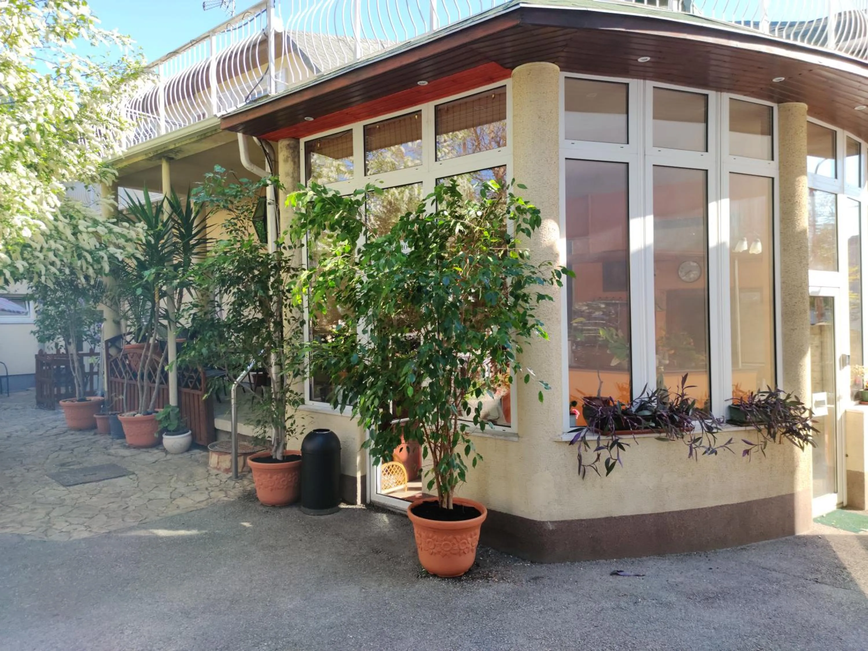 Summer in Hotel Oswaldo