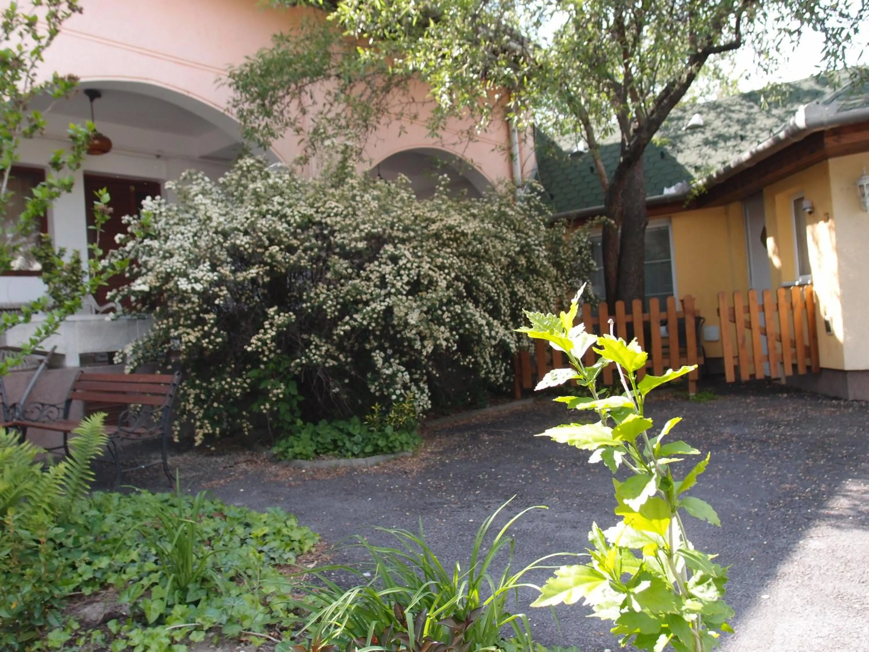 Garden in Hotel Oswaldo