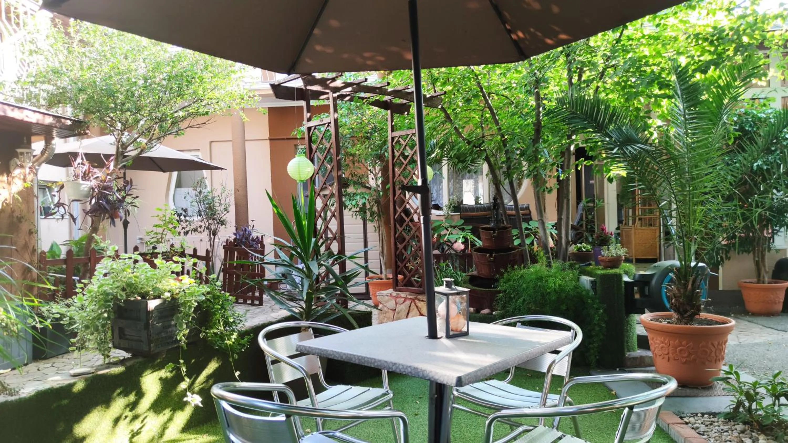 Garden in Hotel Oswaldo