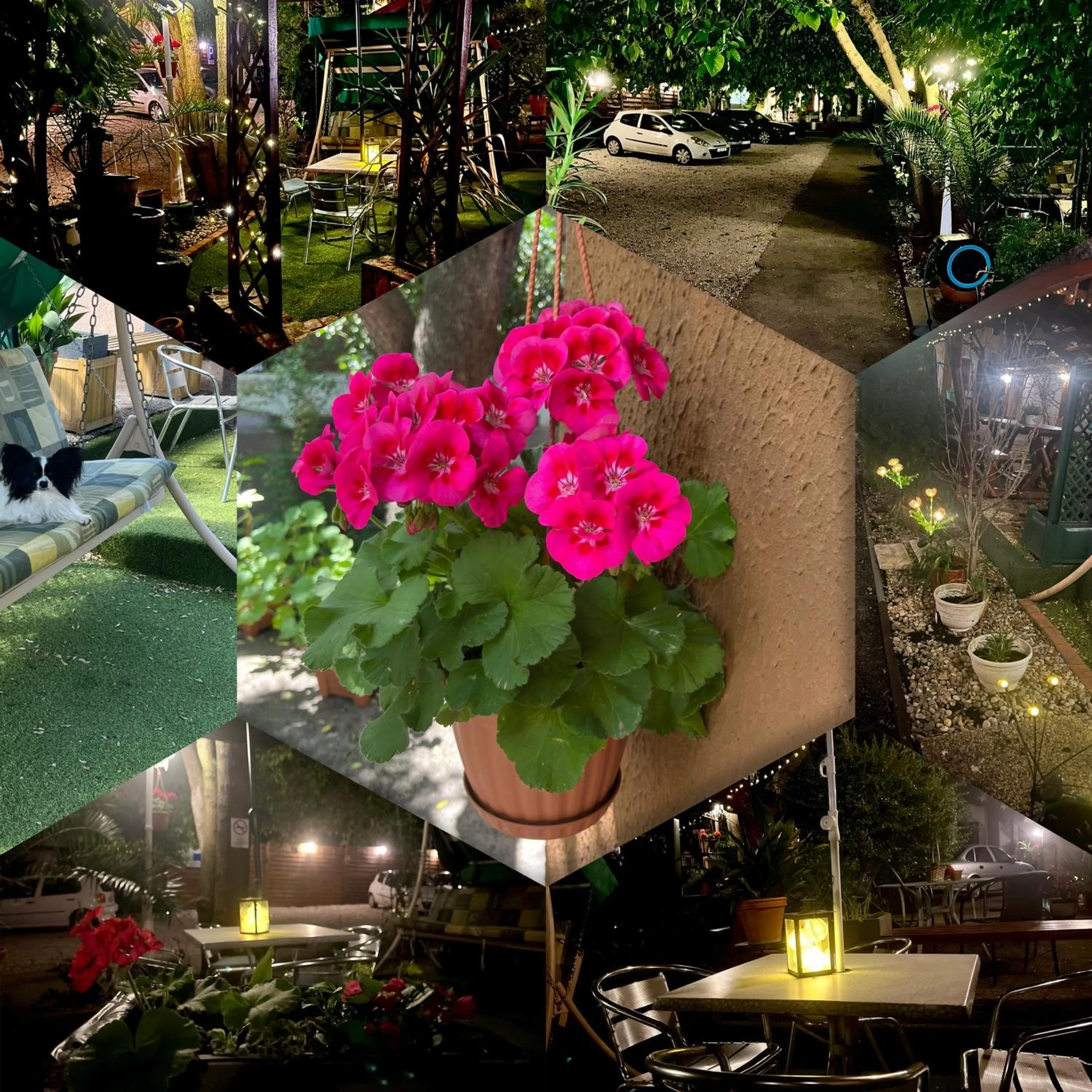 Garden in Hotel Oswaldo