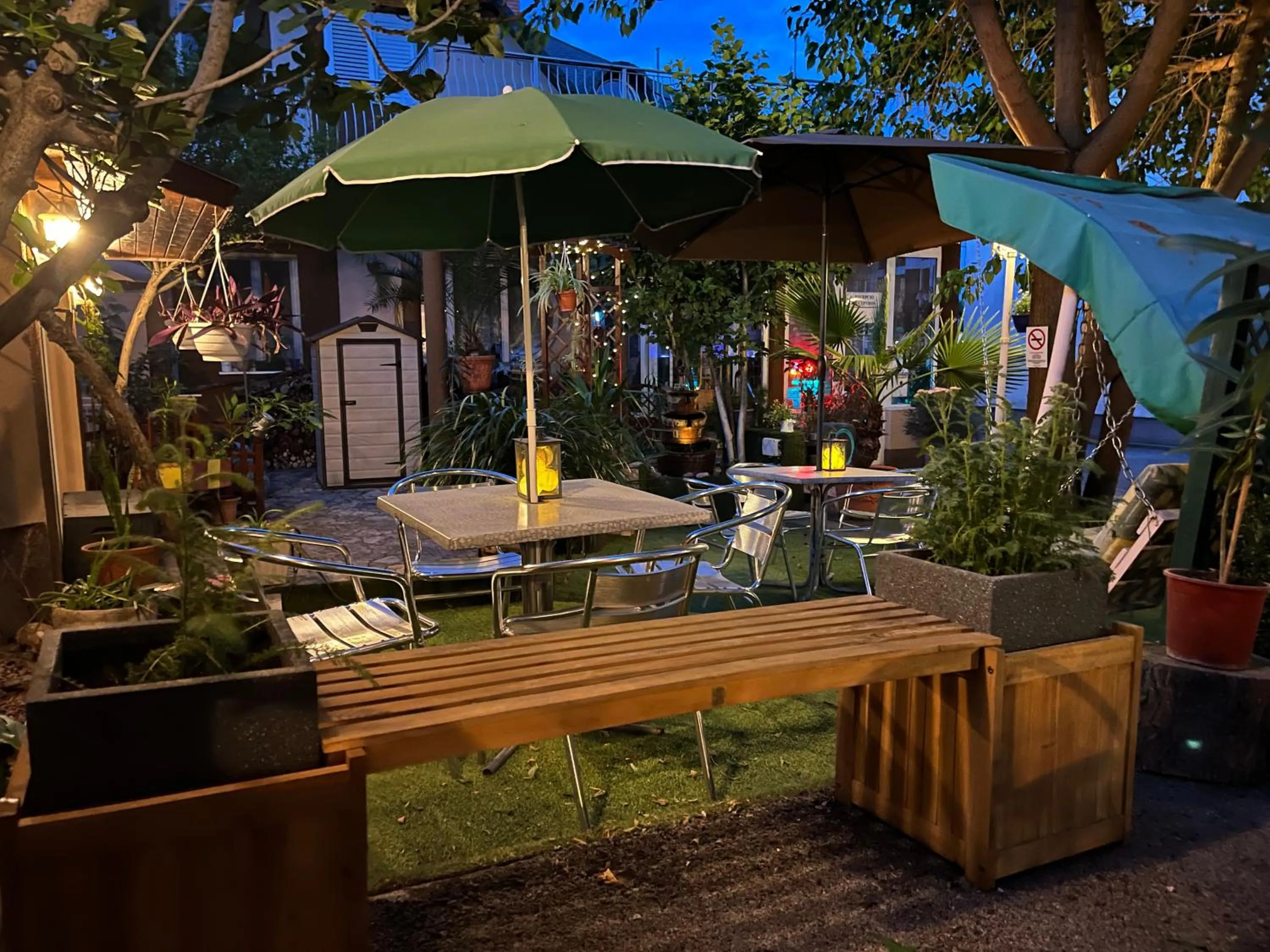 Garden in Hotel Oswaldo