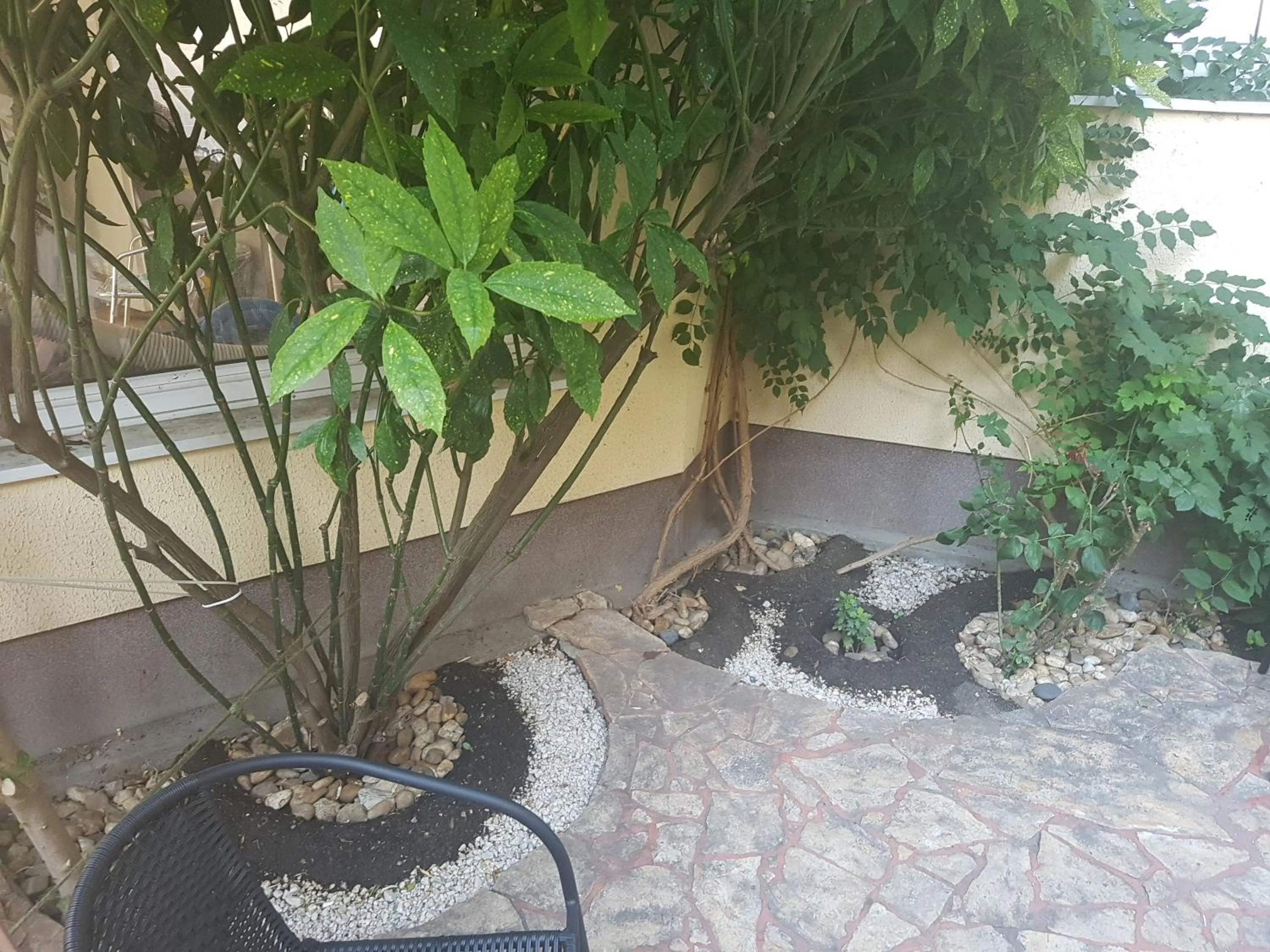Garden in Hotel Oswaldo