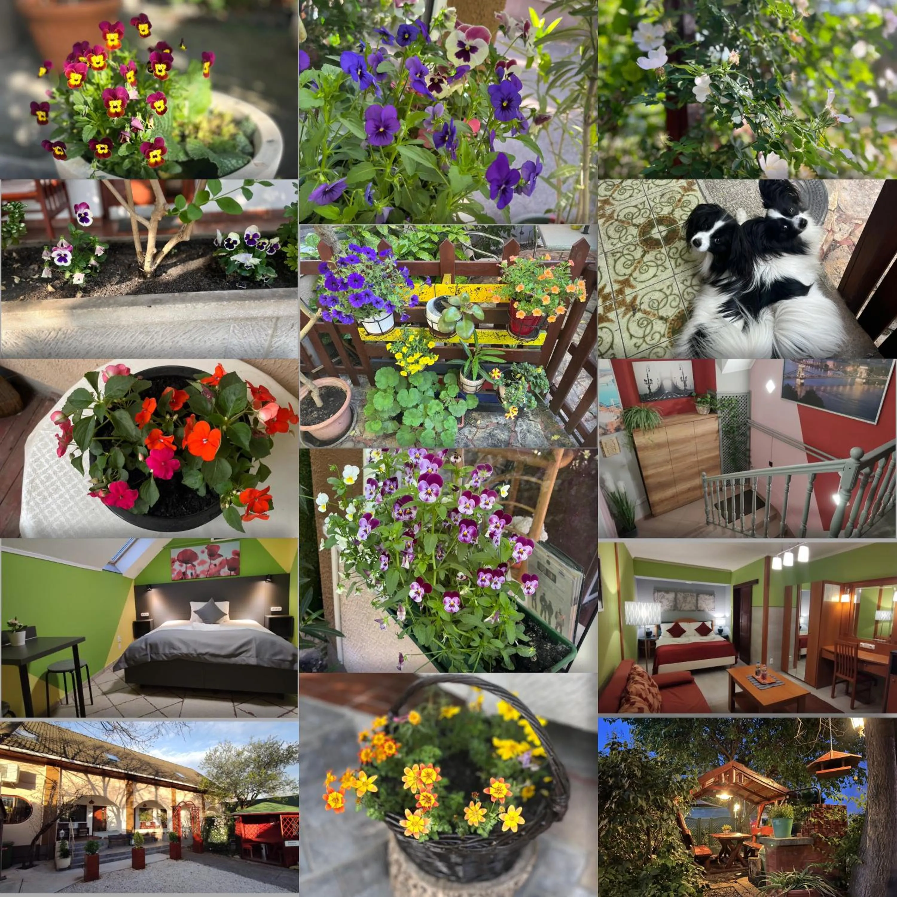 Property building in Hotel Oswaldo