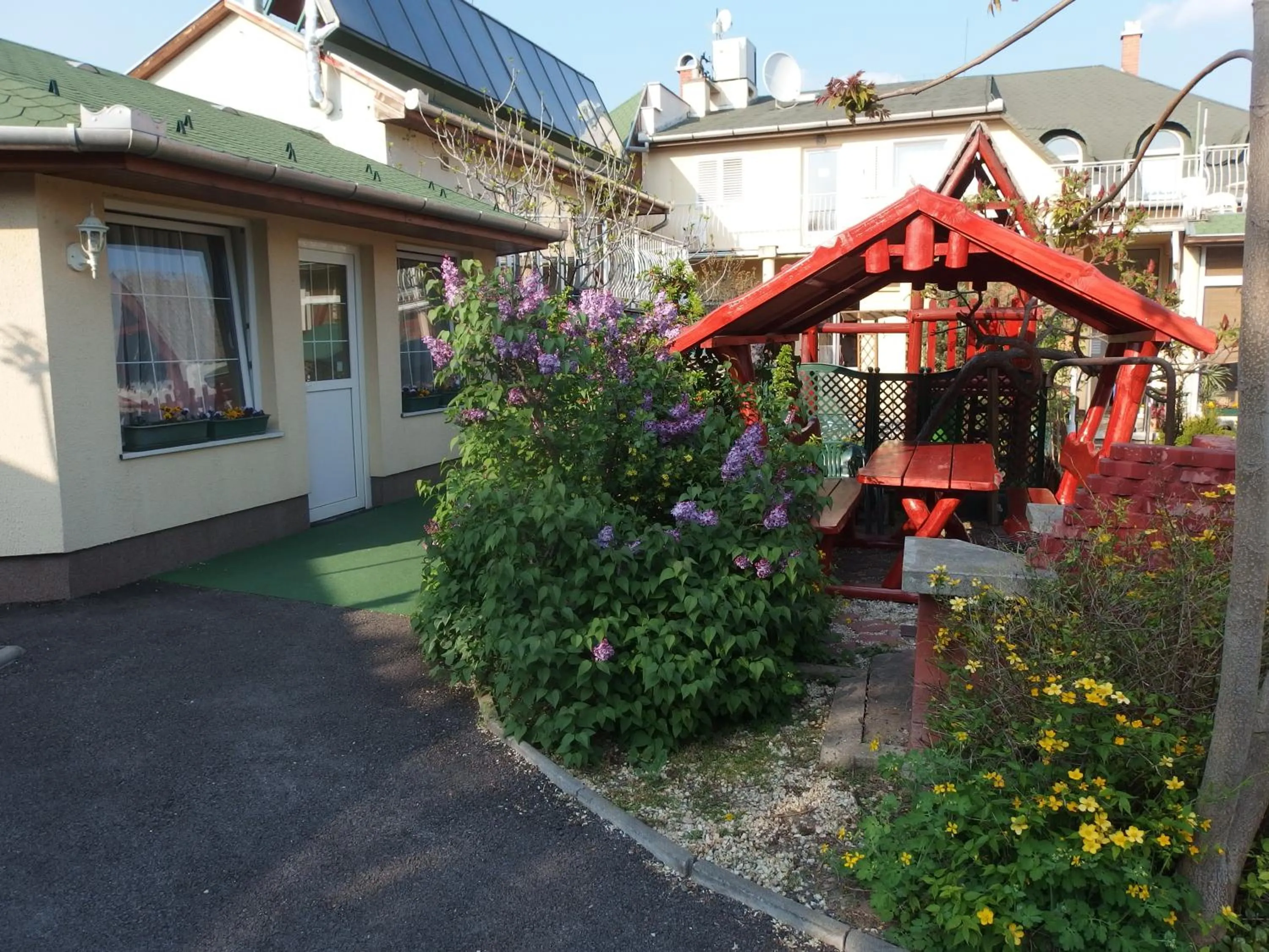 Garden in Hotel Oswaldo