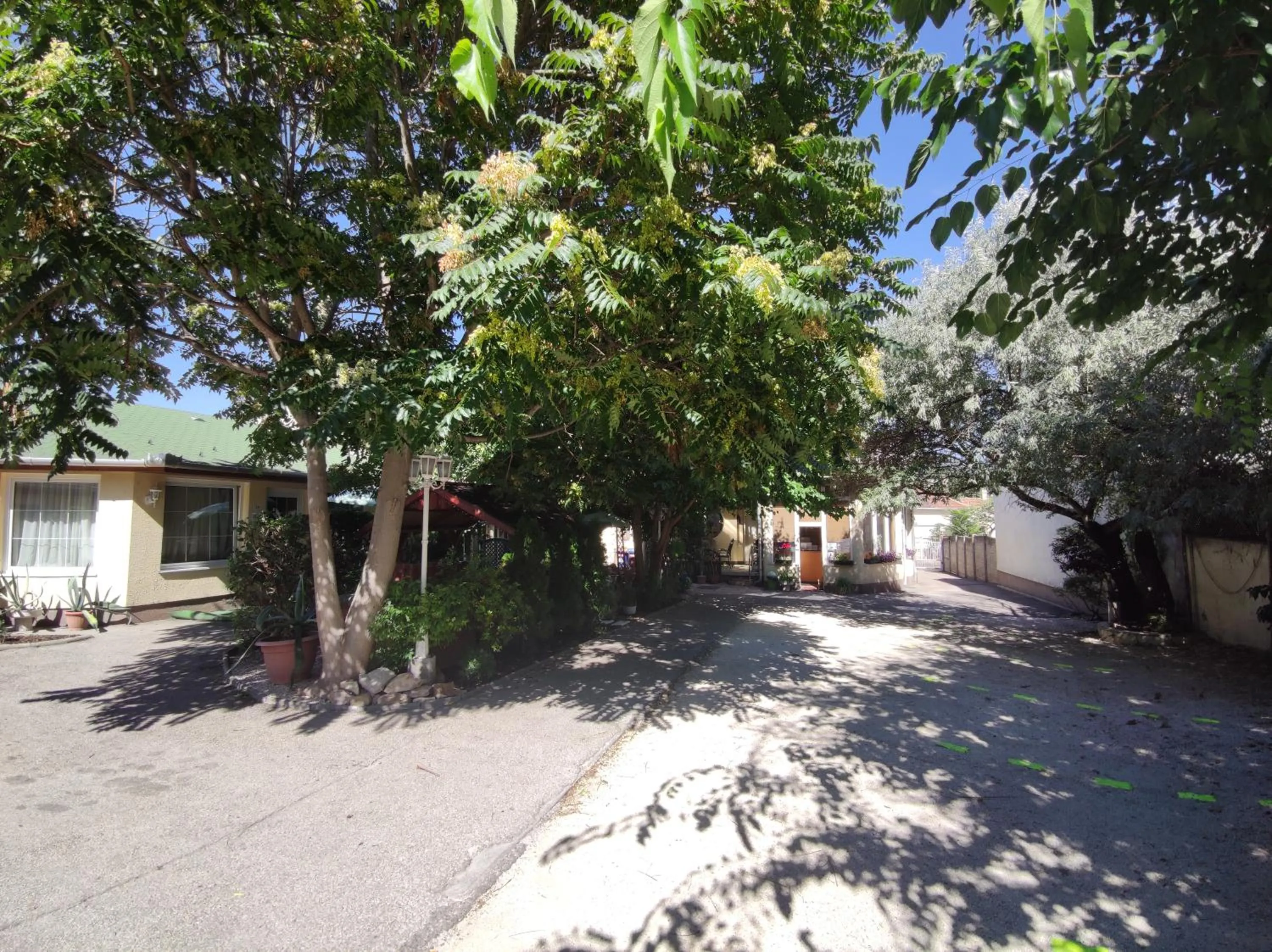 Day in Hotel Oswaldo