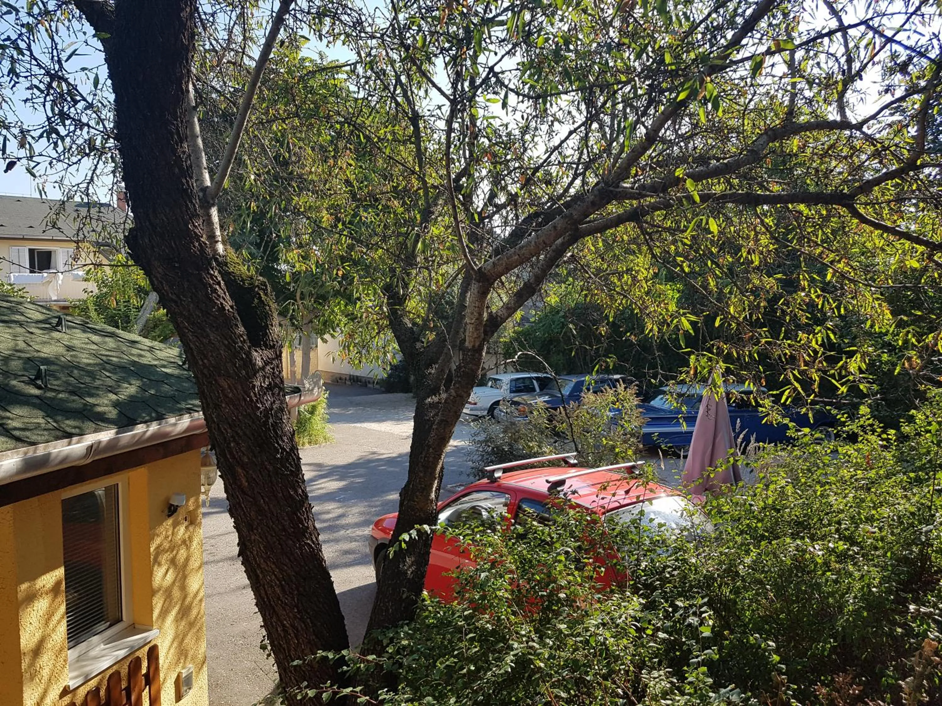 Garden in Hotel Oswaldo