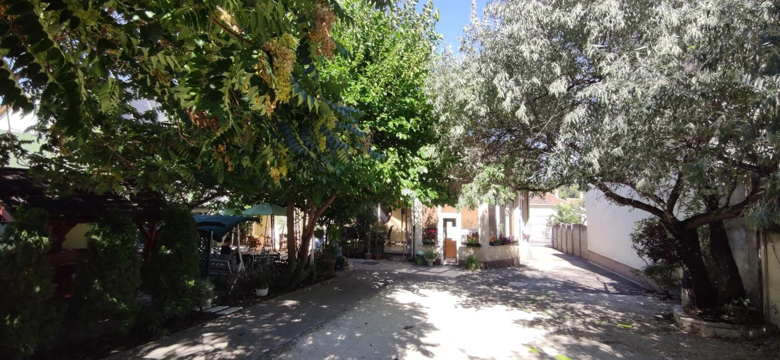Garden in Hotel Oswaldo