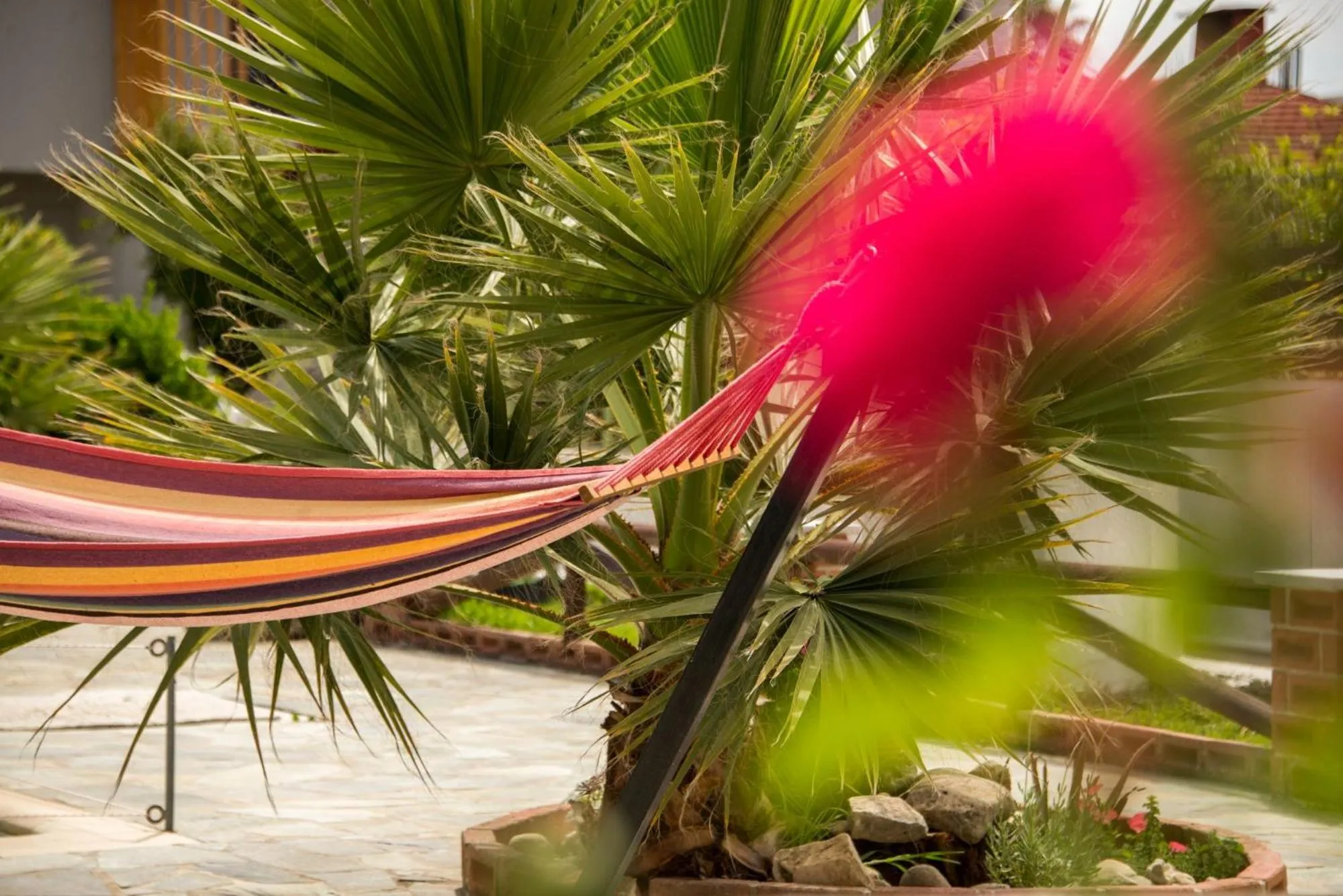 Garden in Kolevri Studios - 650m from Laganas Center, by ZanteWize