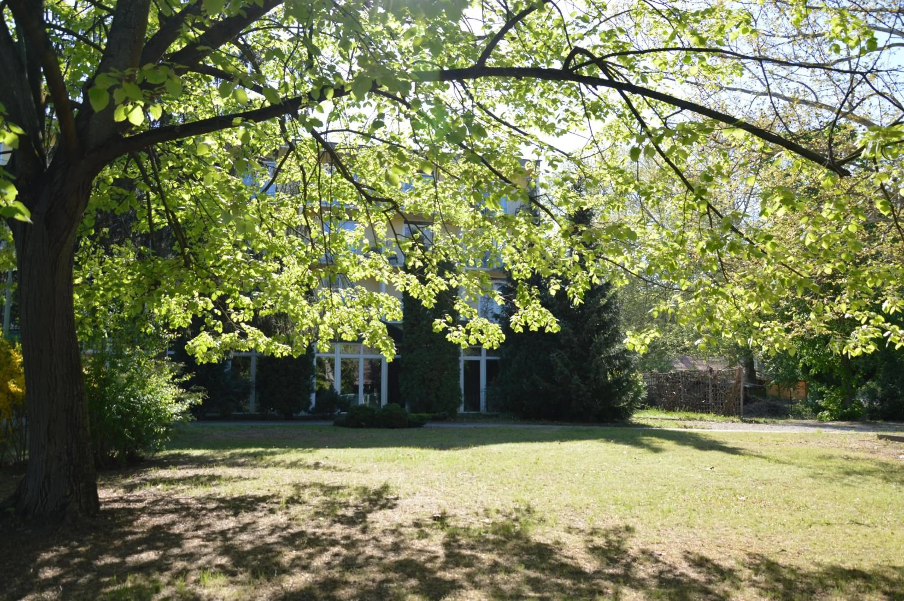 Garden in Solaris Hotel