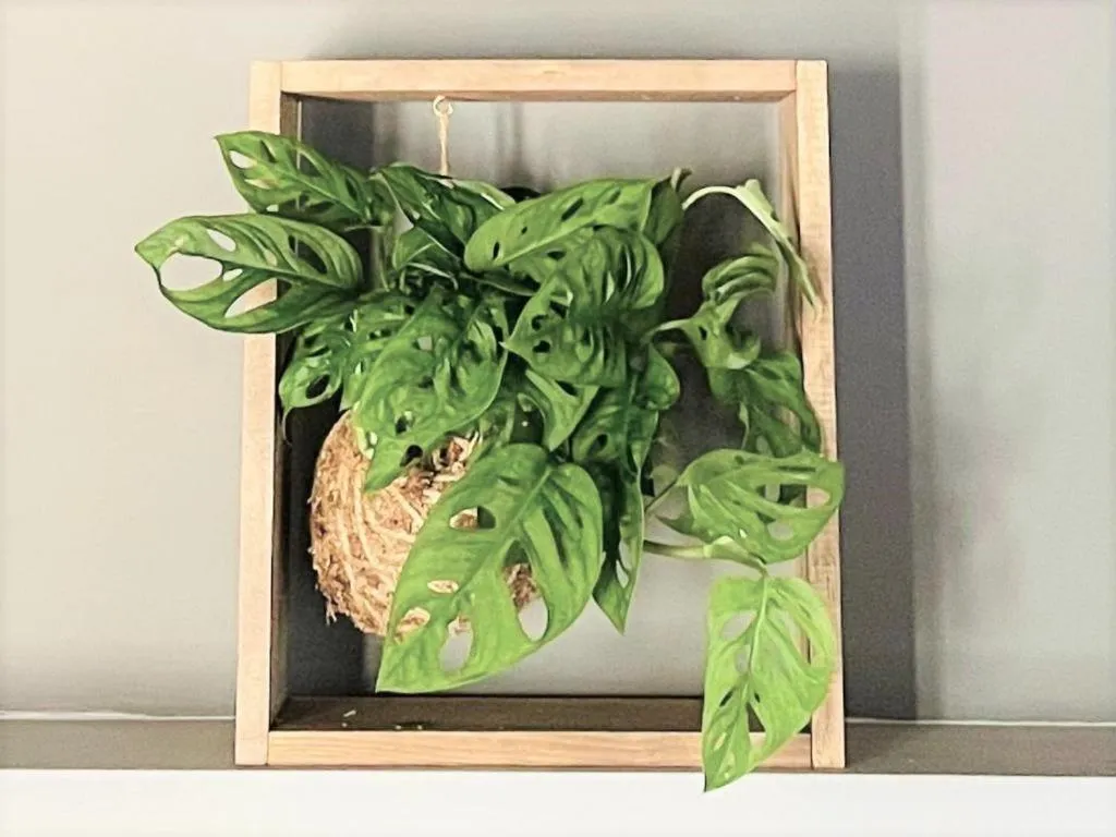 Floor plan in Corso Suite 107 Rooms Wellness & Spa