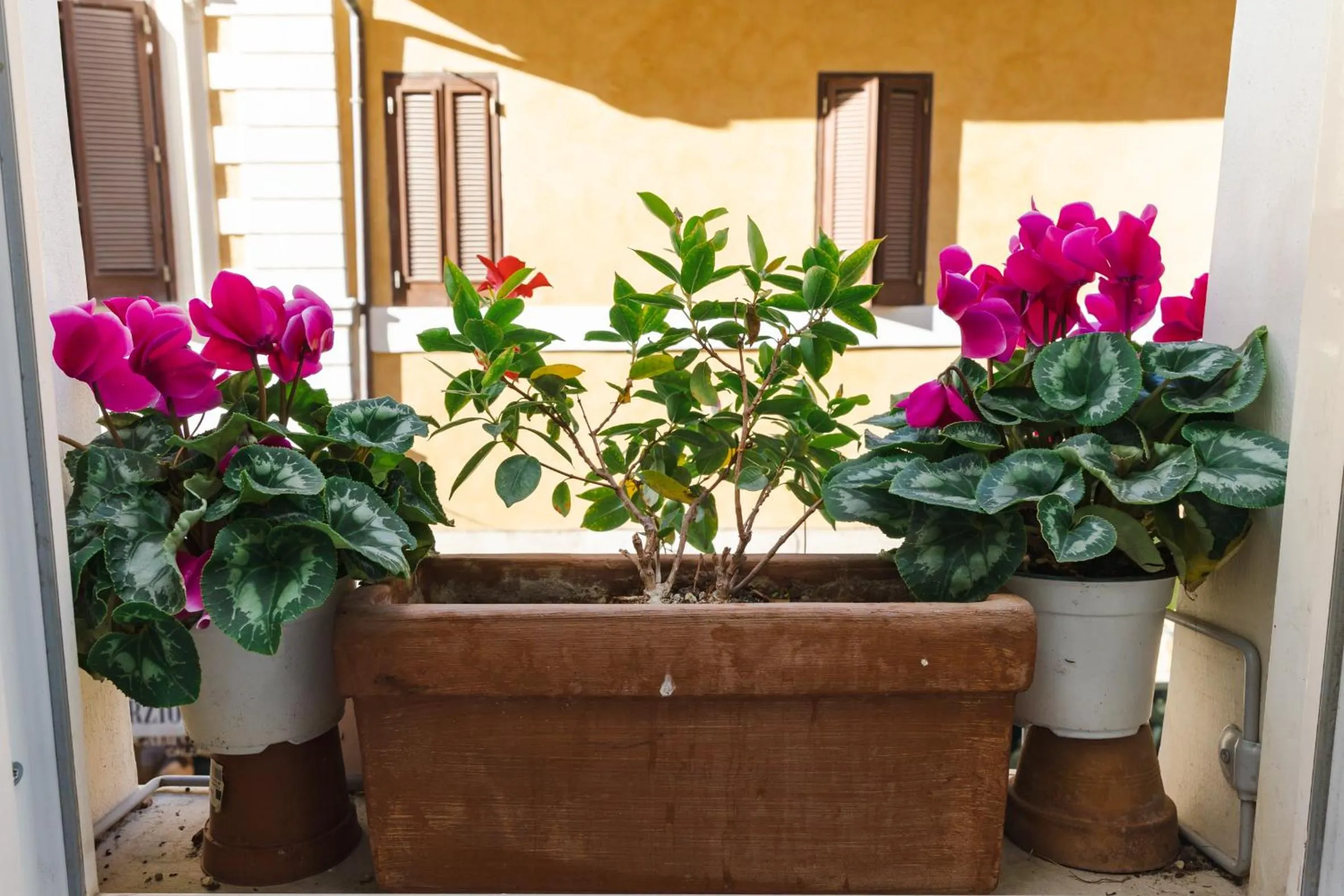 Corso Suite 107 Rooms Wellness & Spa