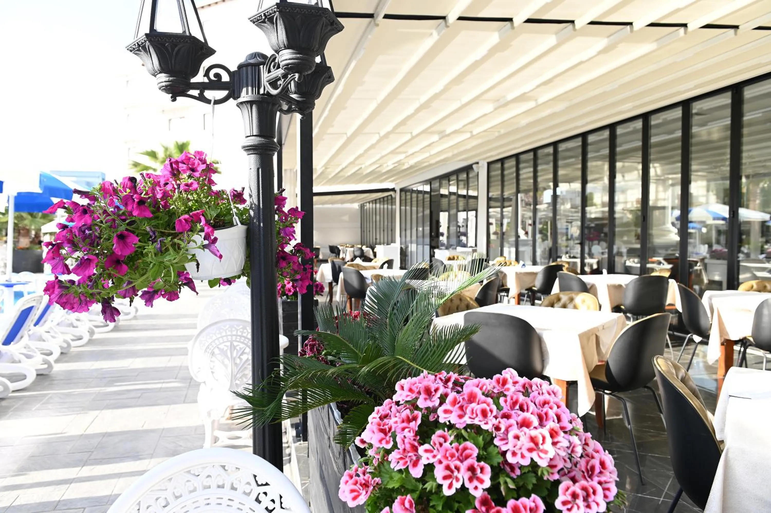 Coffee/tea facilities in Hotel Onufri