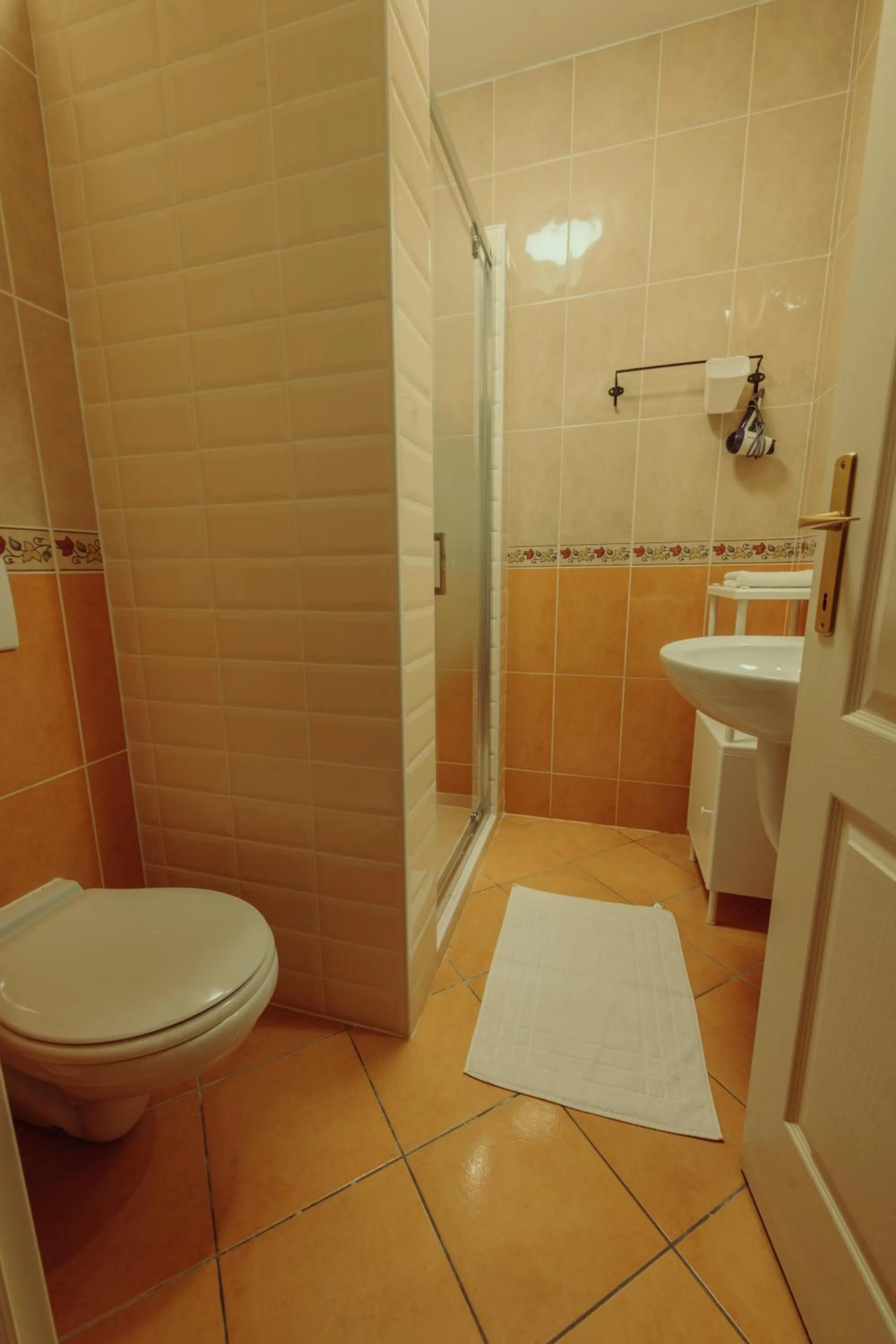 Shower in Pater Apartments and Rooms