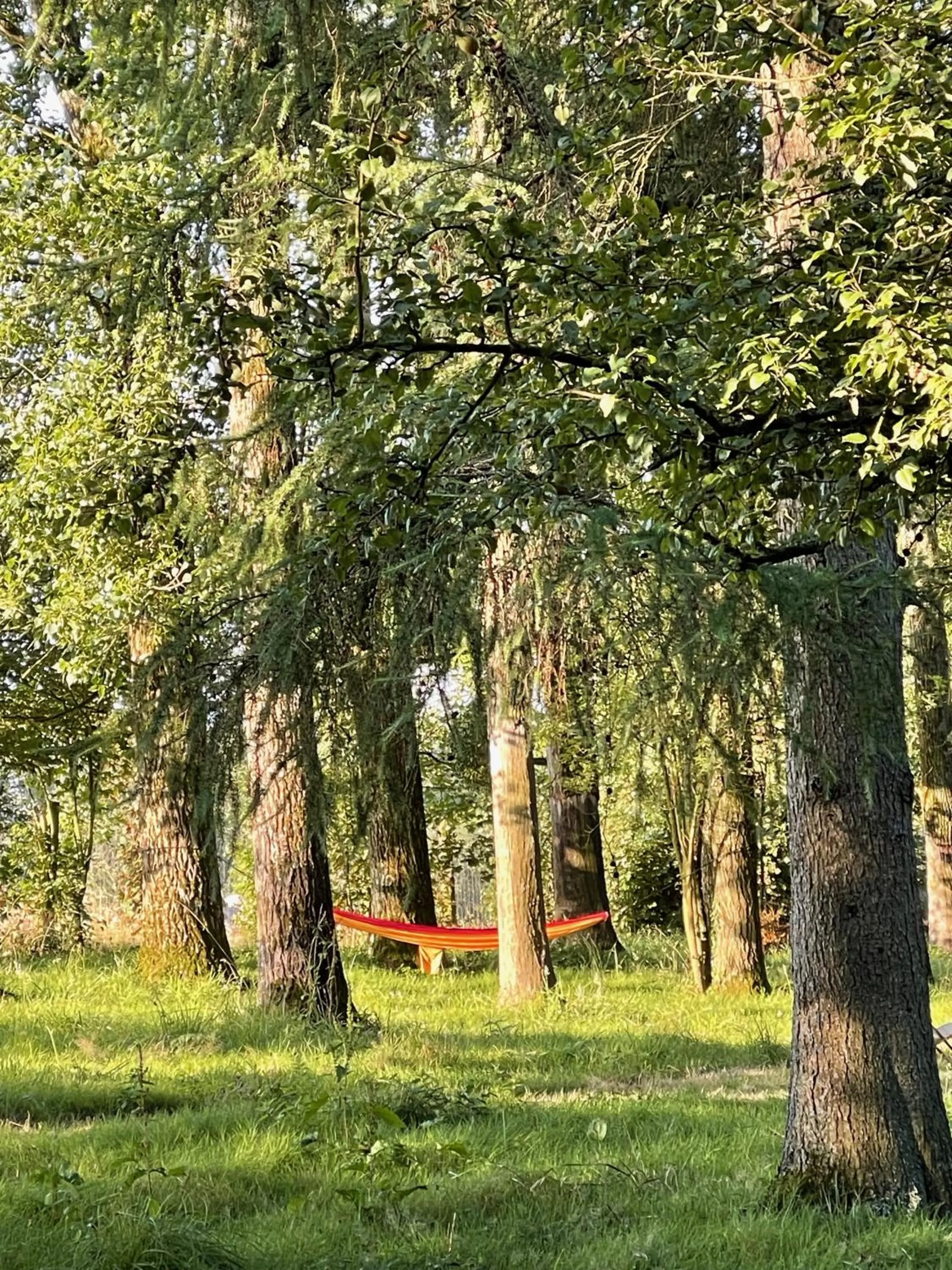Natural landscape in Domaine de Fresnoy