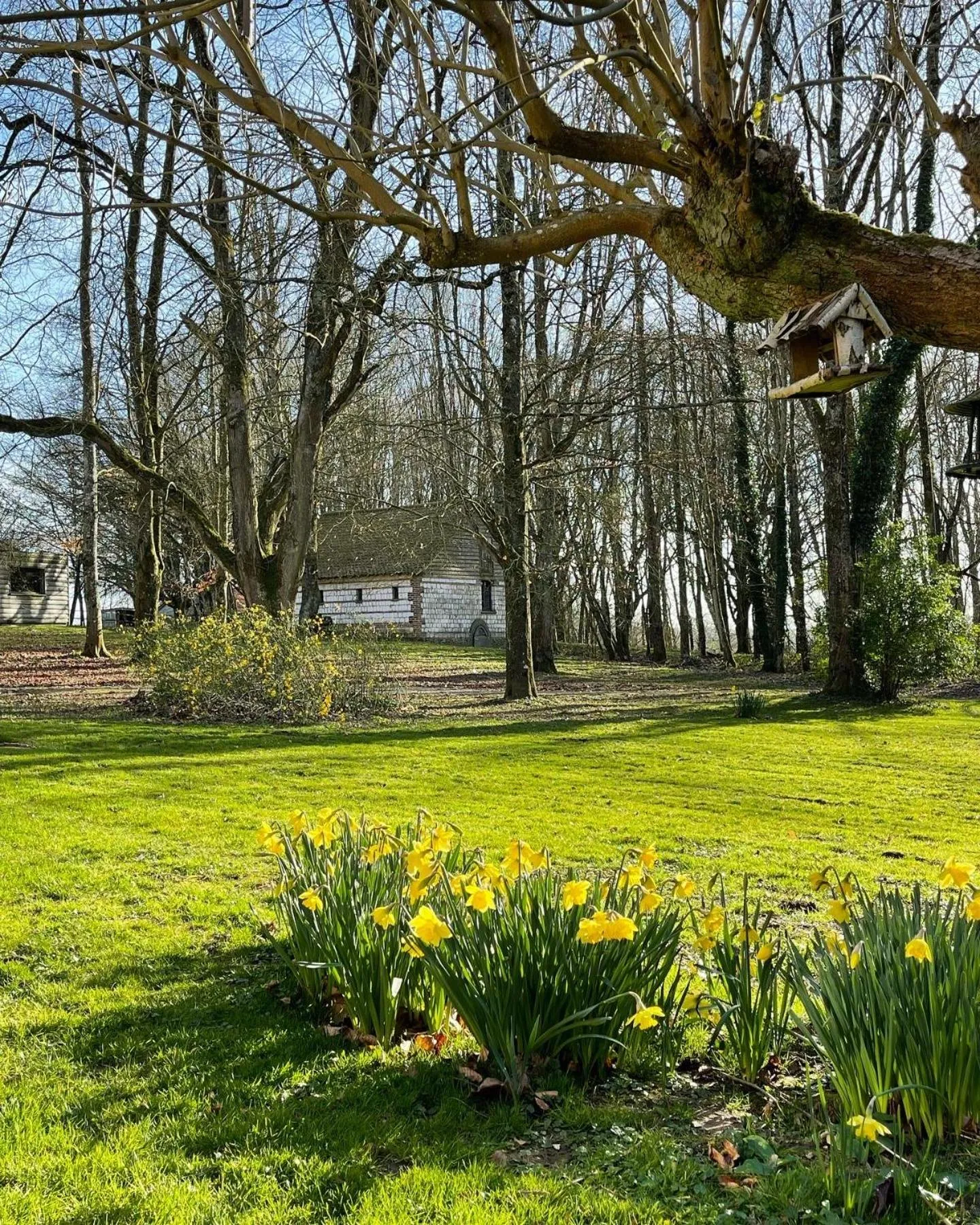 Garden view in Domaine de Fresnoy