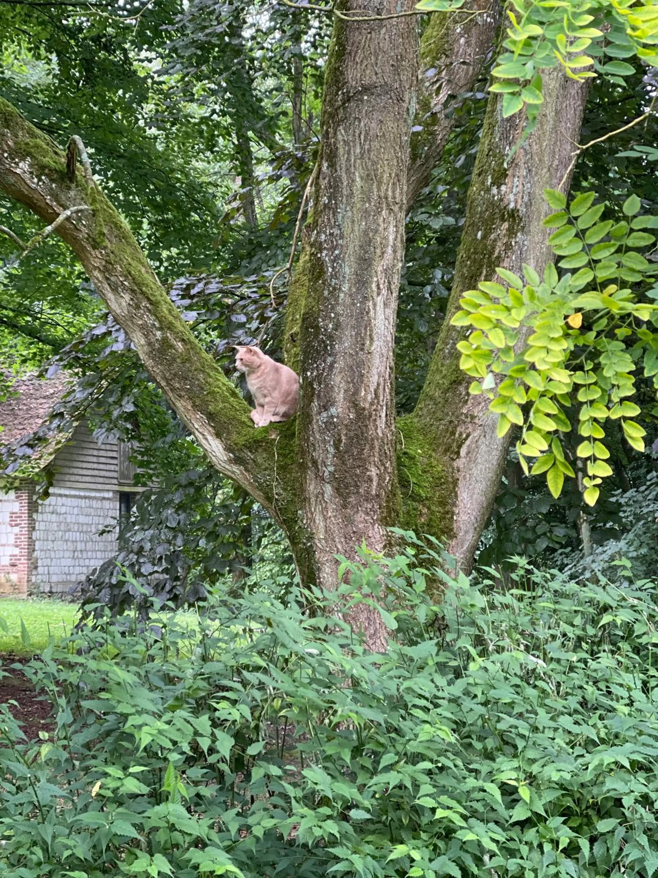 Area and facilities in Domaine de Fresnoy