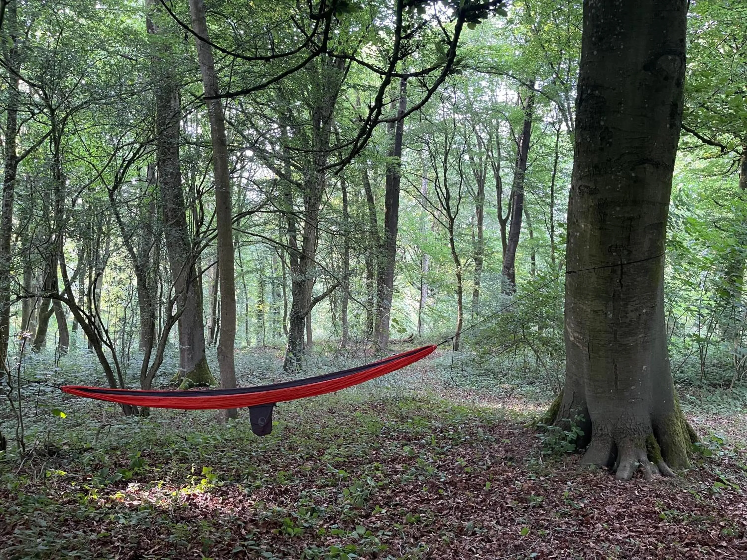 room service in Domaine de Fresnoy