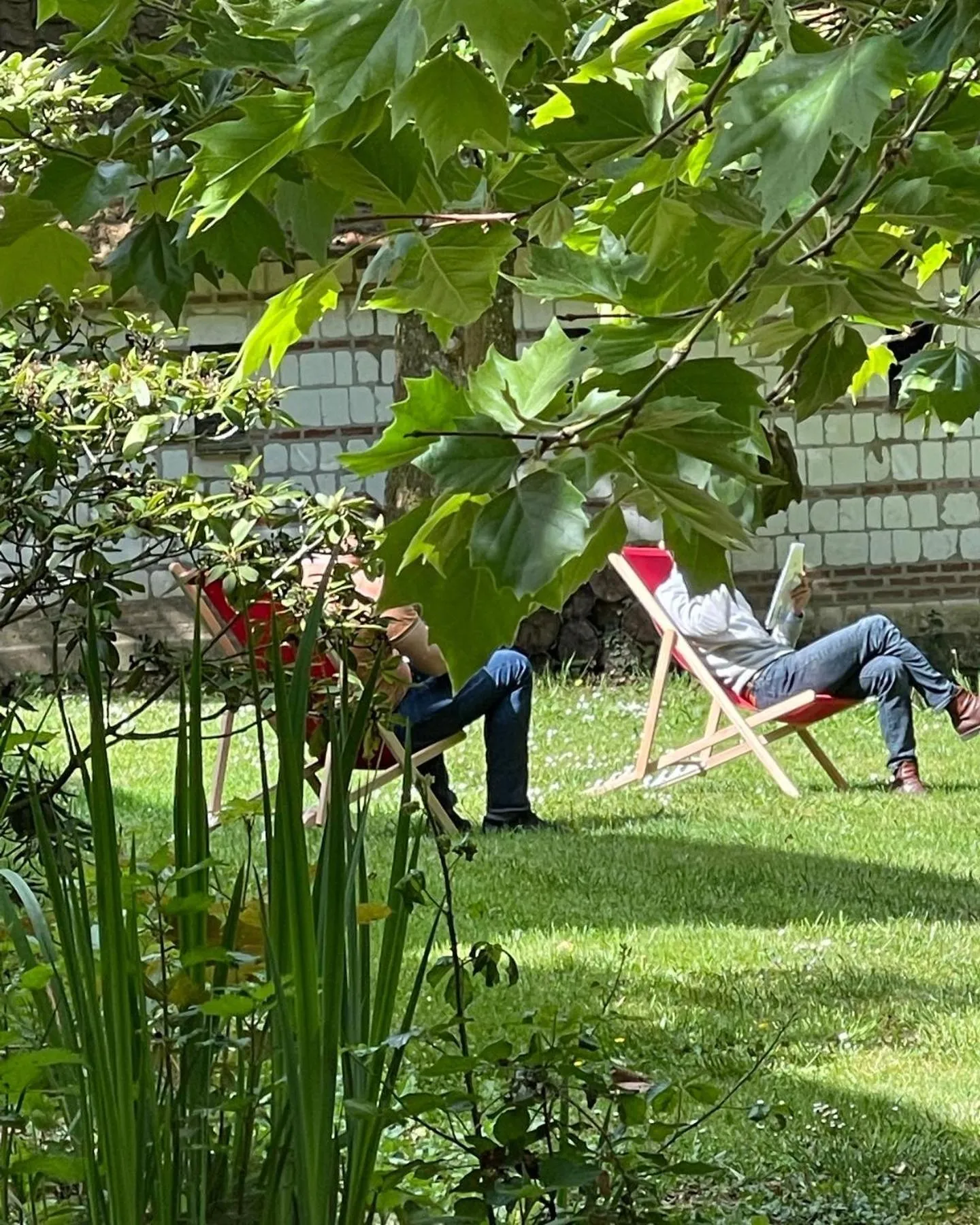 Garden in Domaine de Fresnoy