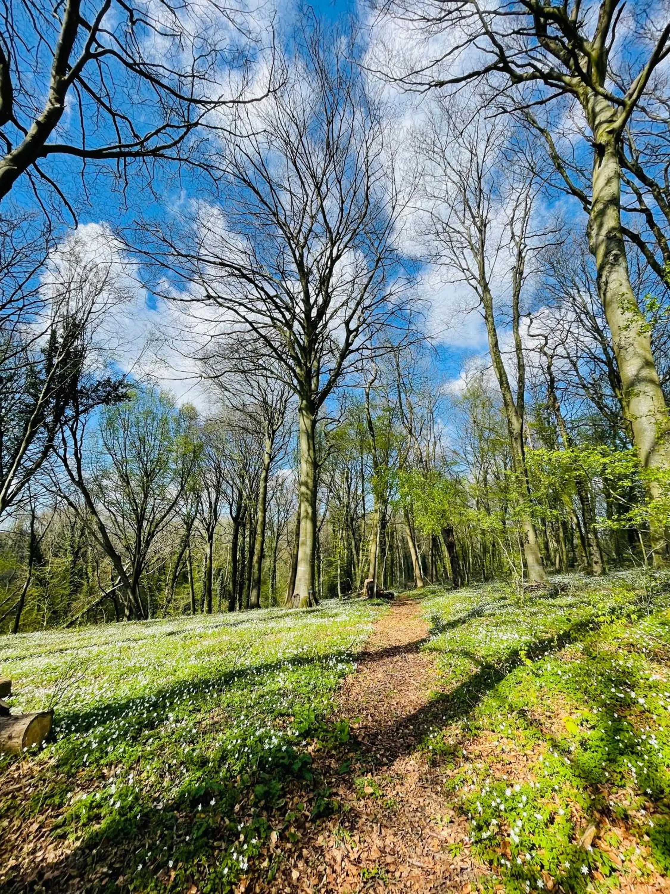 Property building in Domaine de Fresnoy