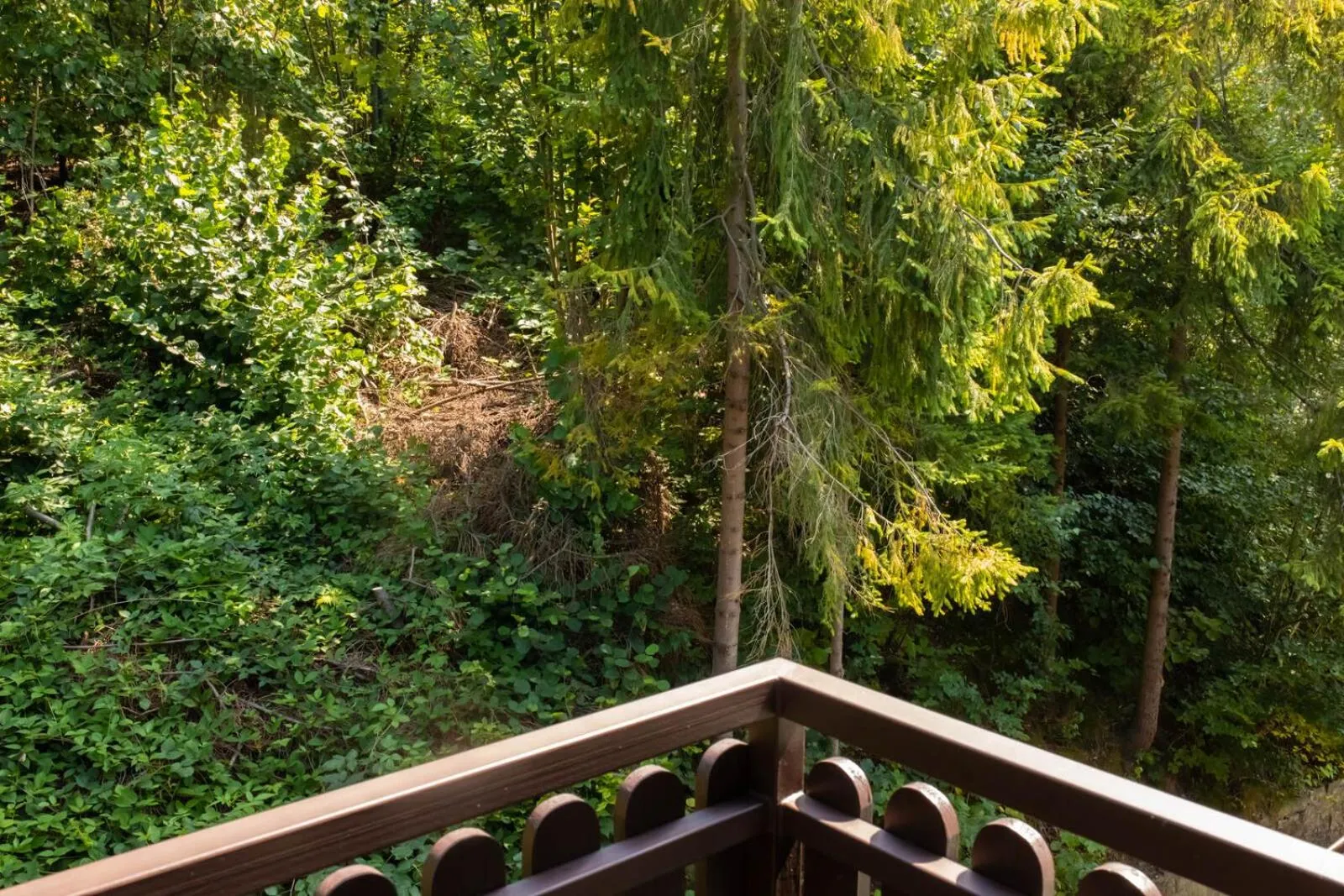 Natural landscape in Willa JODŁA Wisła