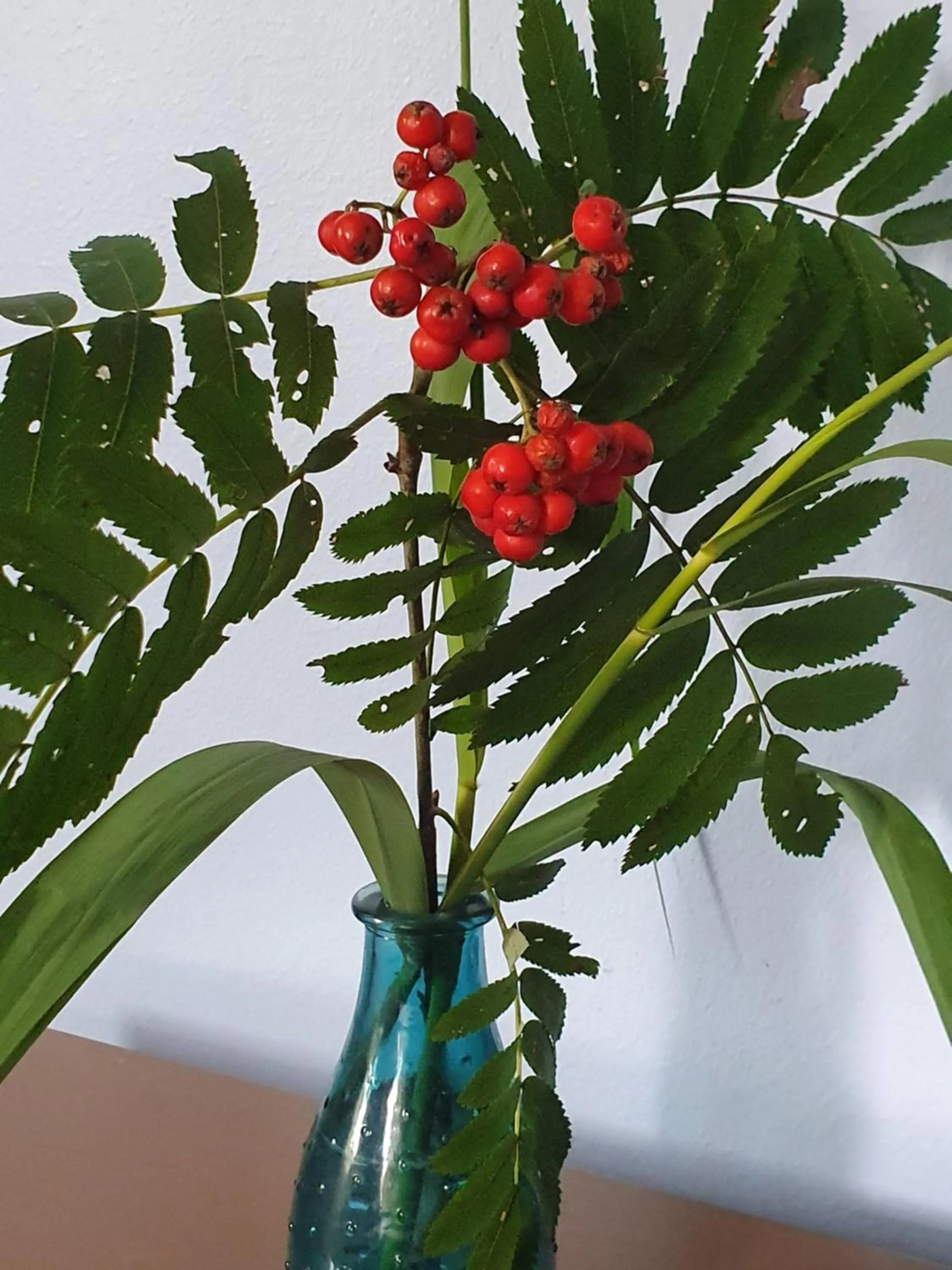 Bedroom in Klåveröd logi & café