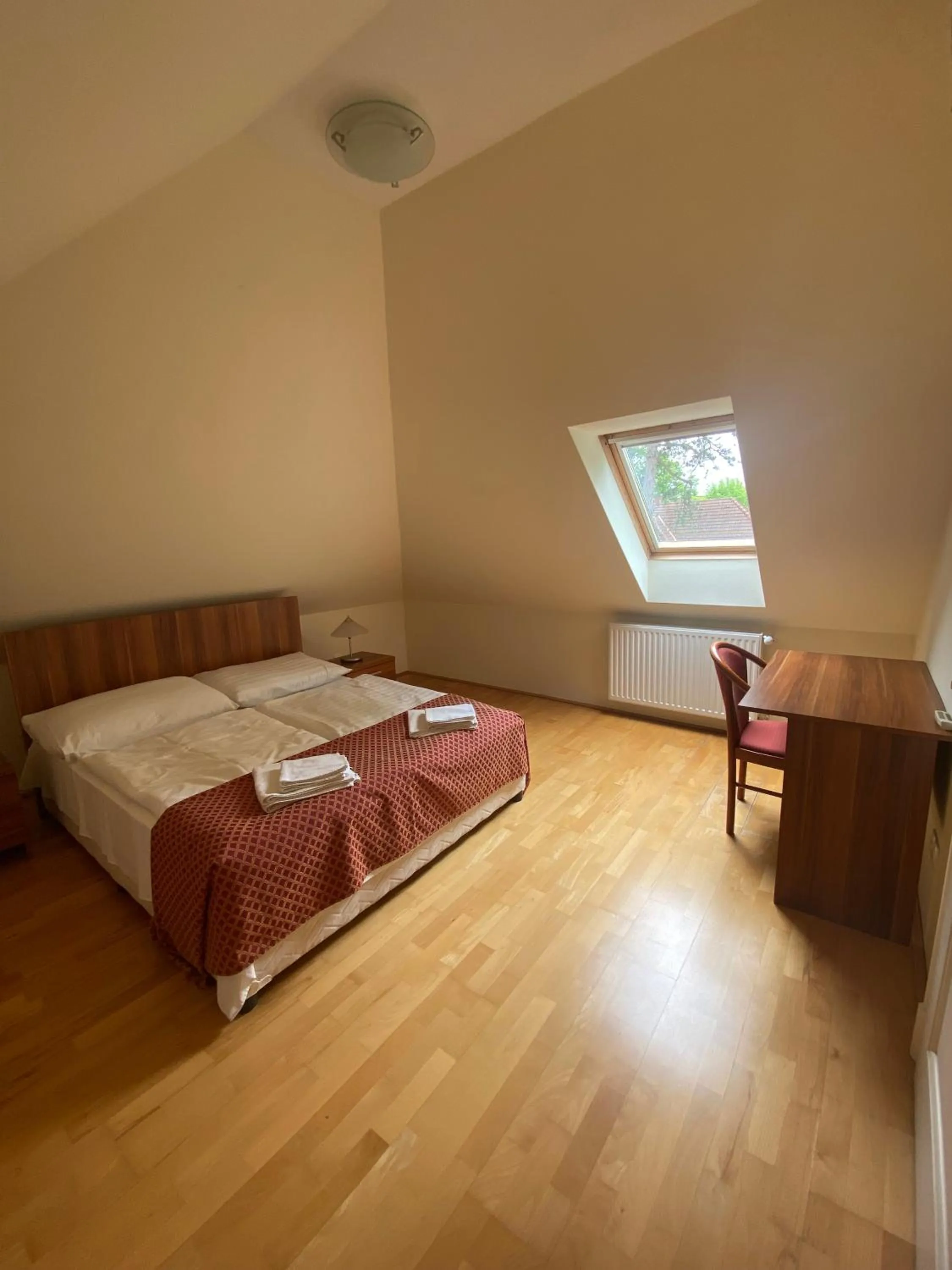 Photo of the whole room in Főnix Hotel