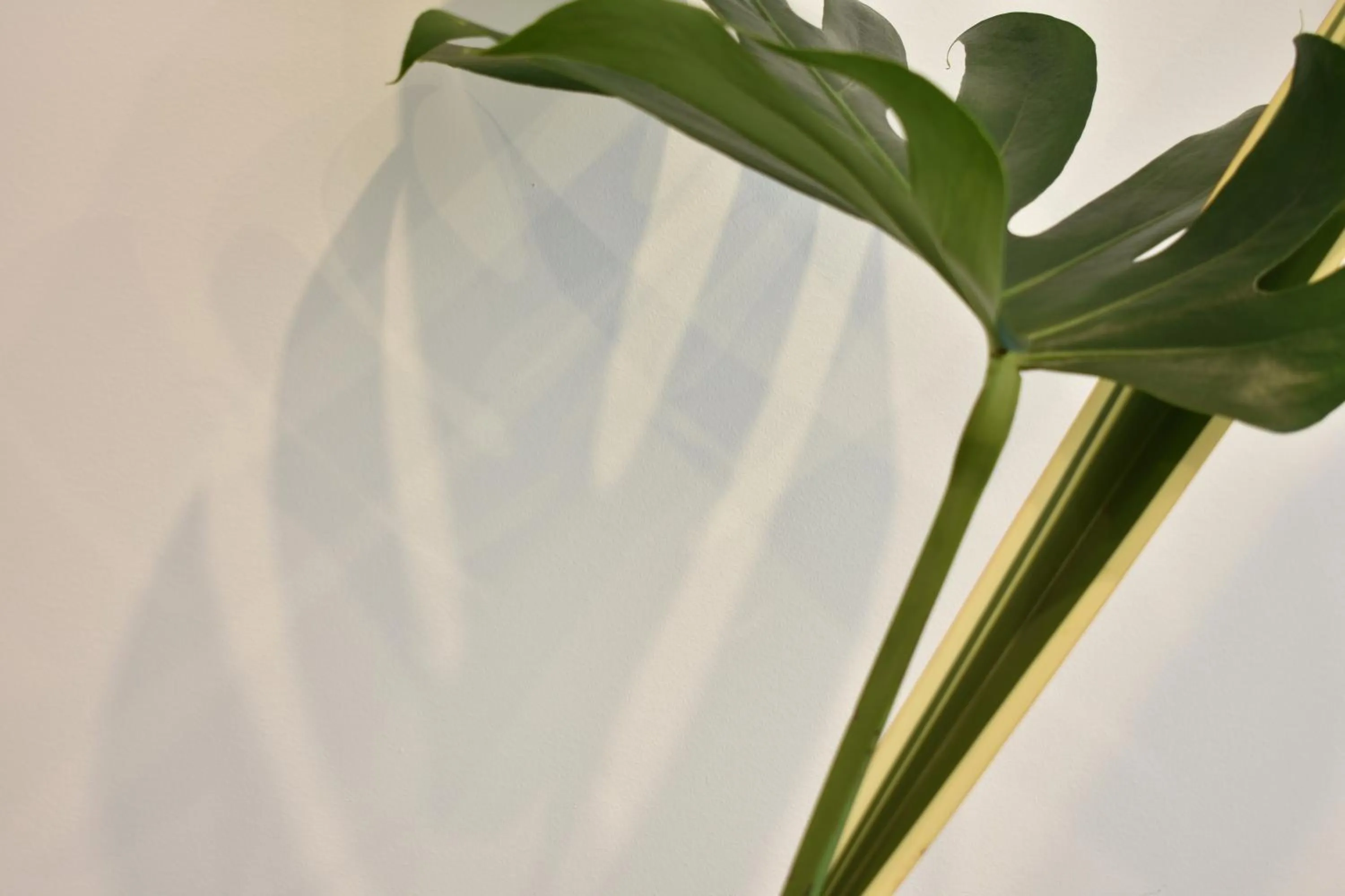 Lobby or reception in Tenuta Micoli