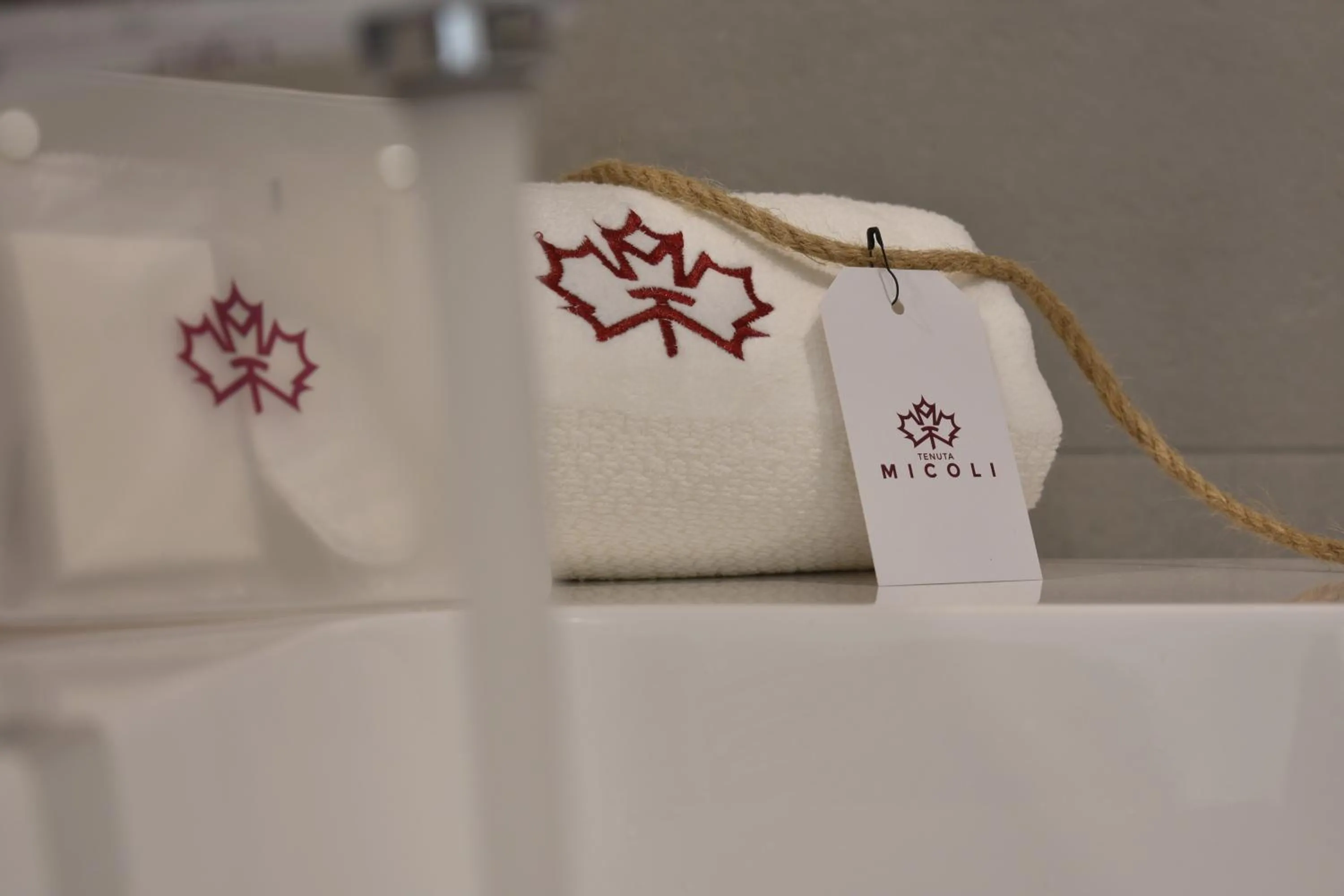 Logo/Certificate/Sign in Tenuta Micoli