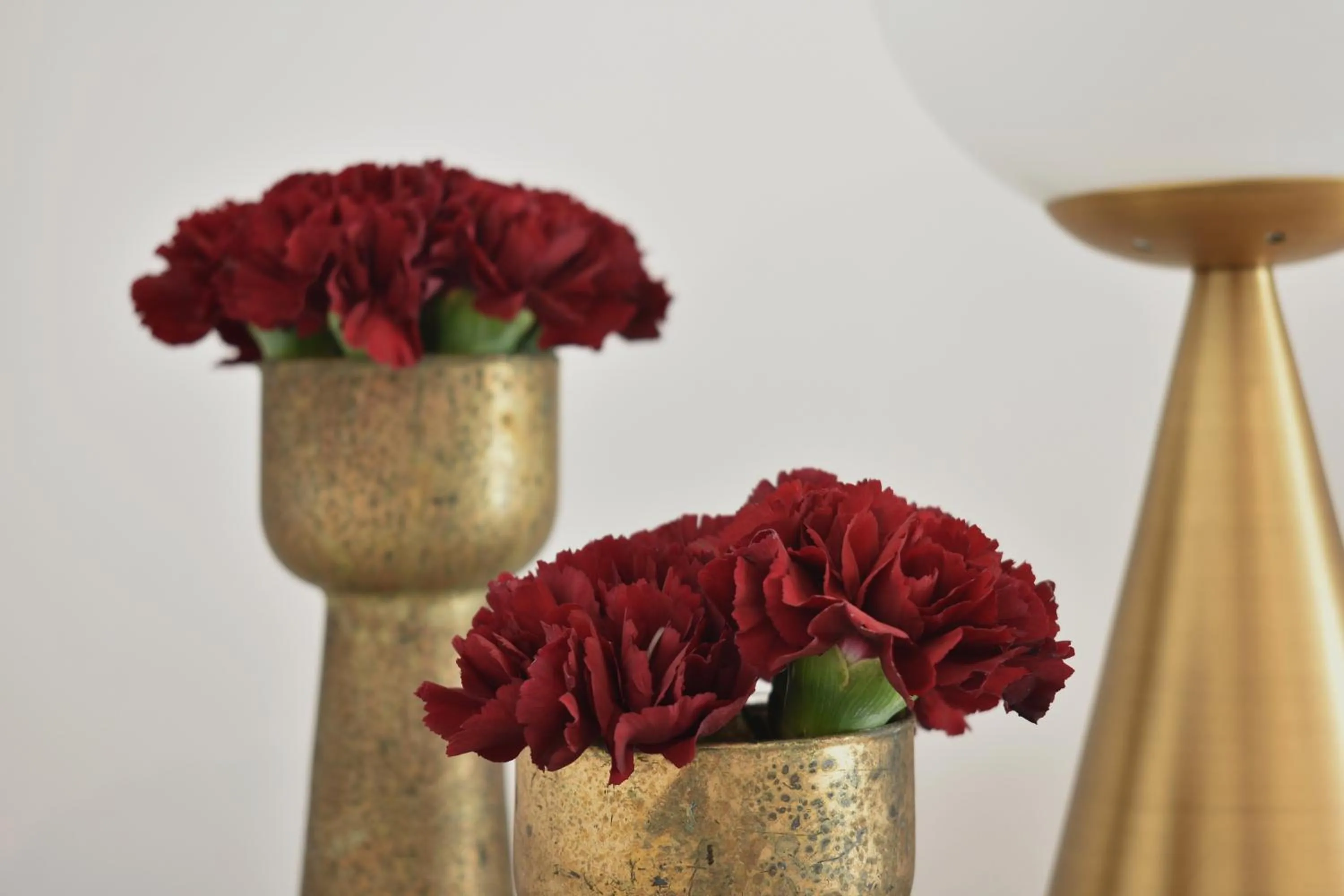 Photo of the whole room in Tenuta Micoli