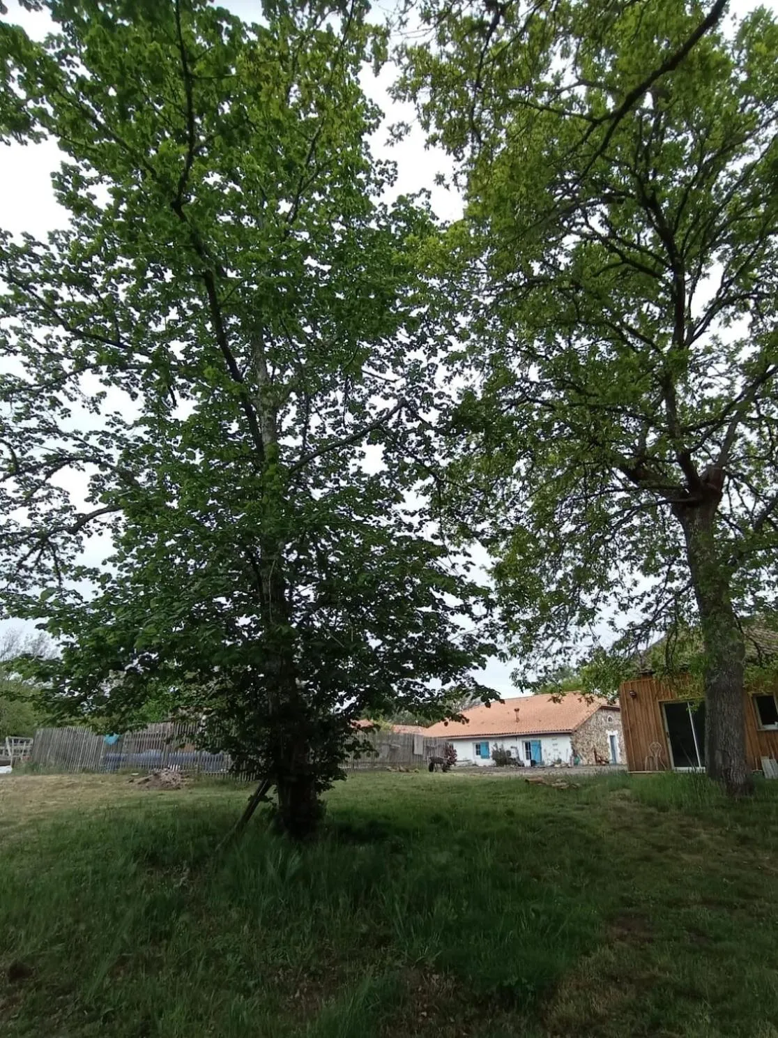 Garden in les chambres du pont des chèvres