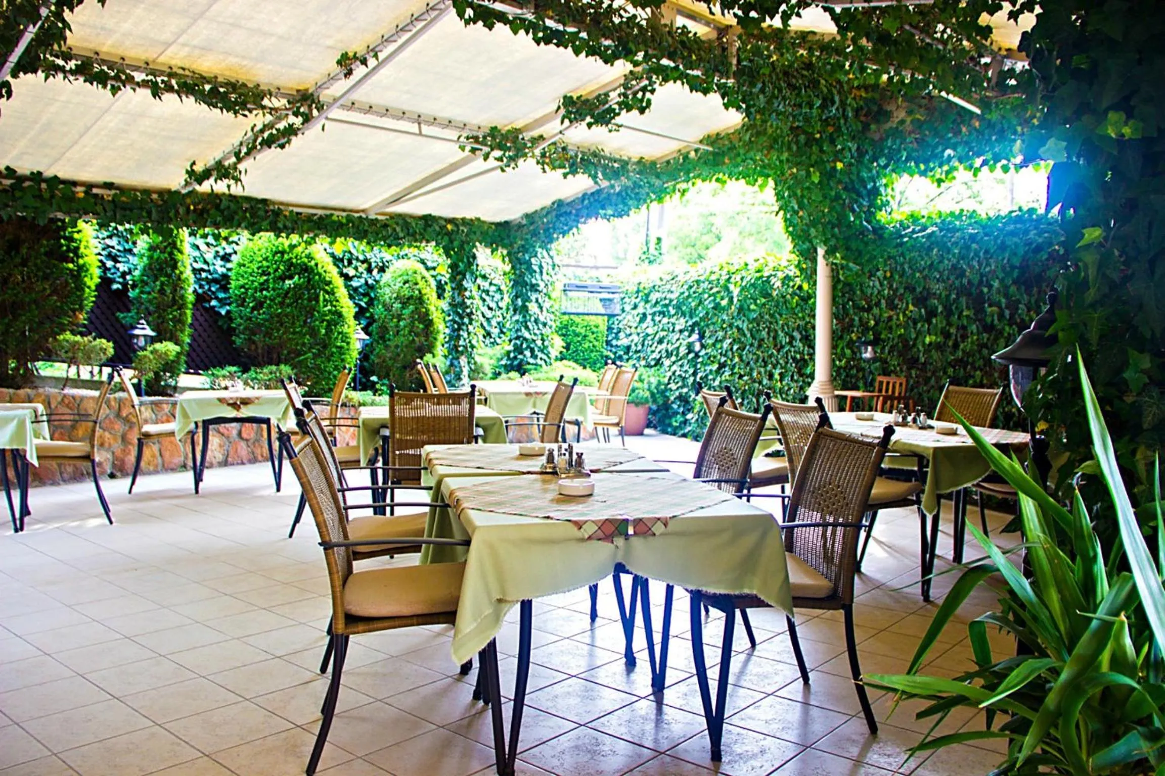 Balcony/Terrace in Hotel Molnár