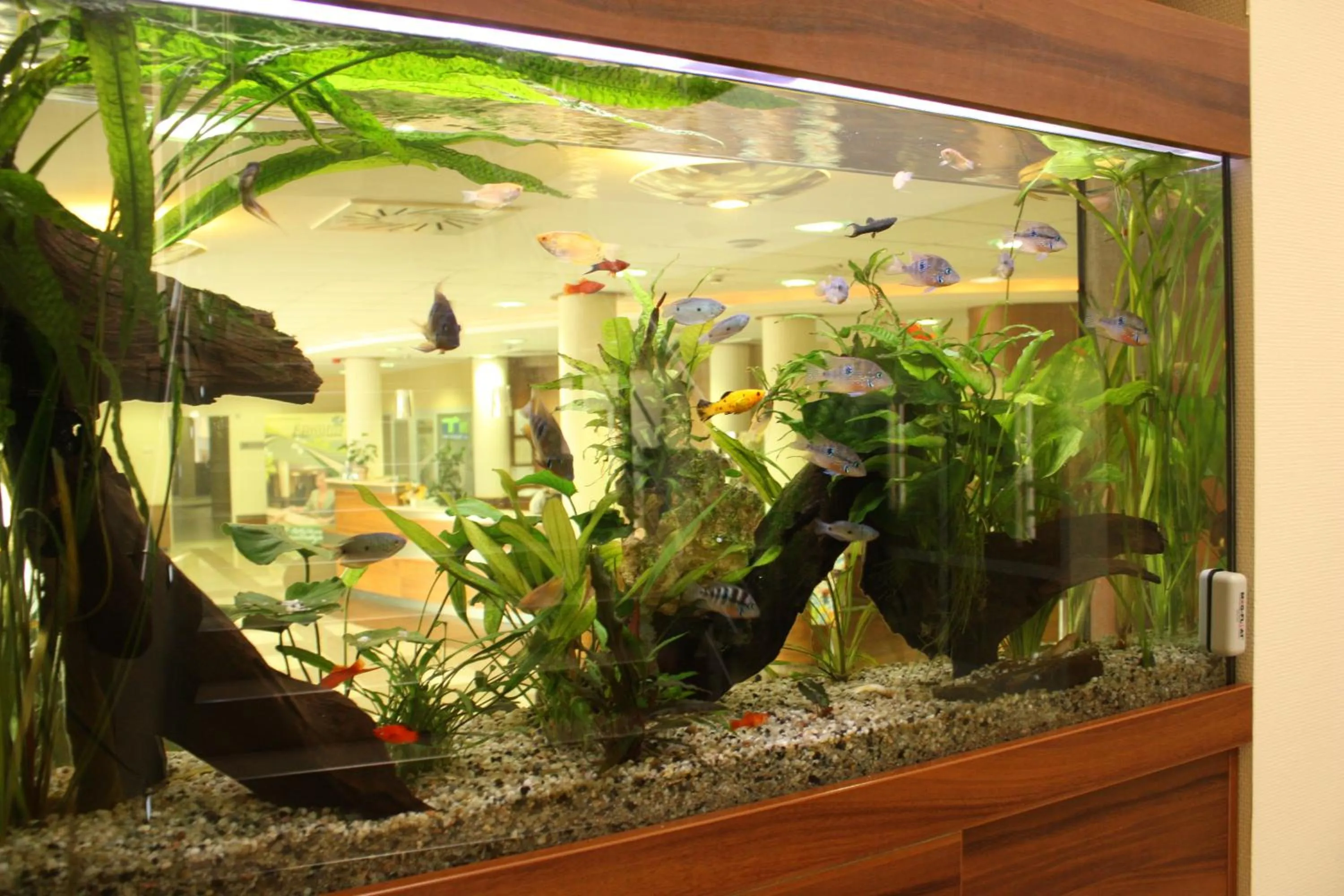 Lobby or reception in Hotel Famulus