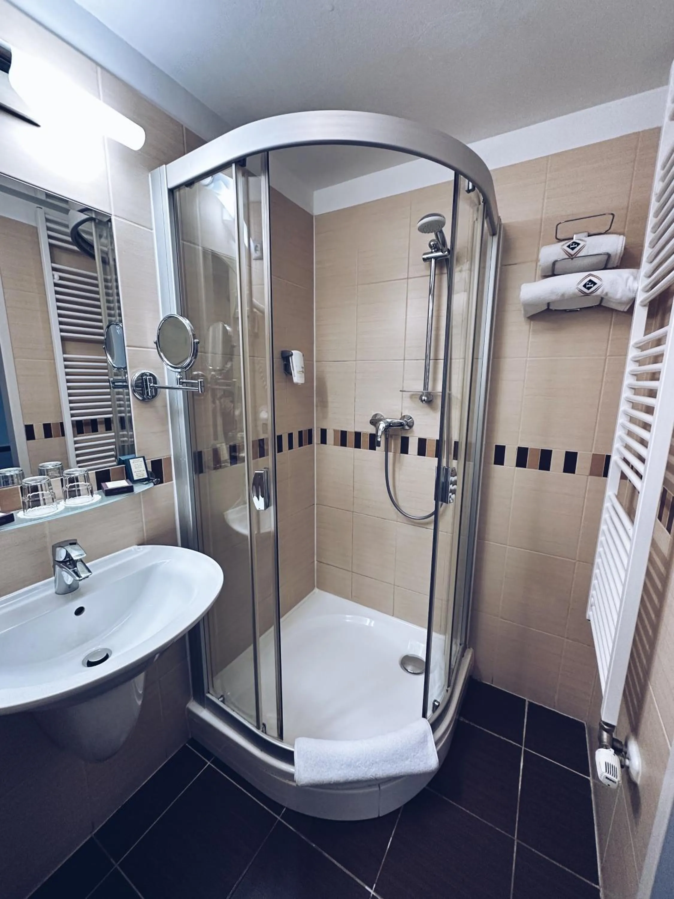 Double or Twin Room - single occupancy in Hotel Famulus