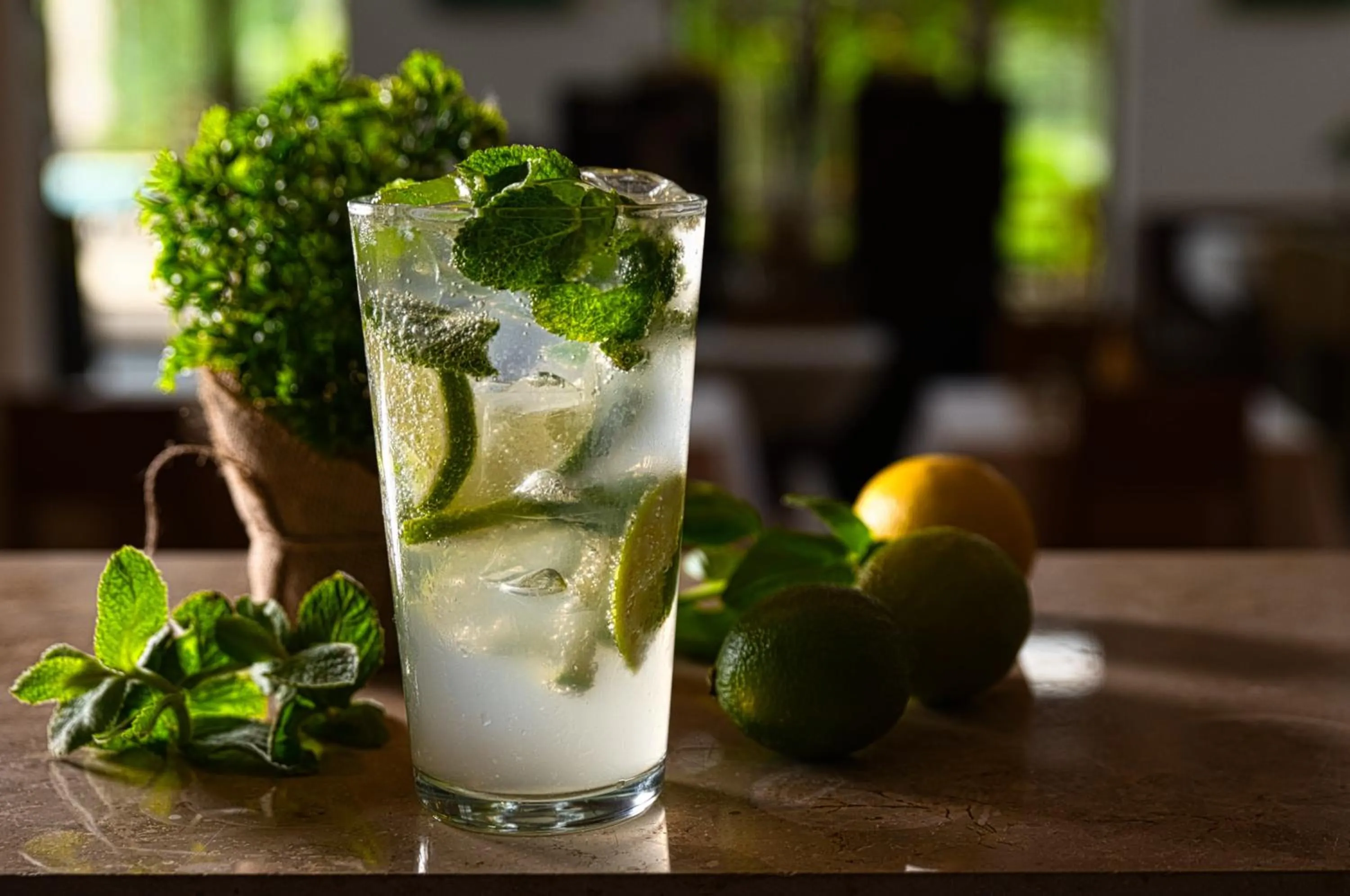 Drinks in Tisza Balneum Hotel