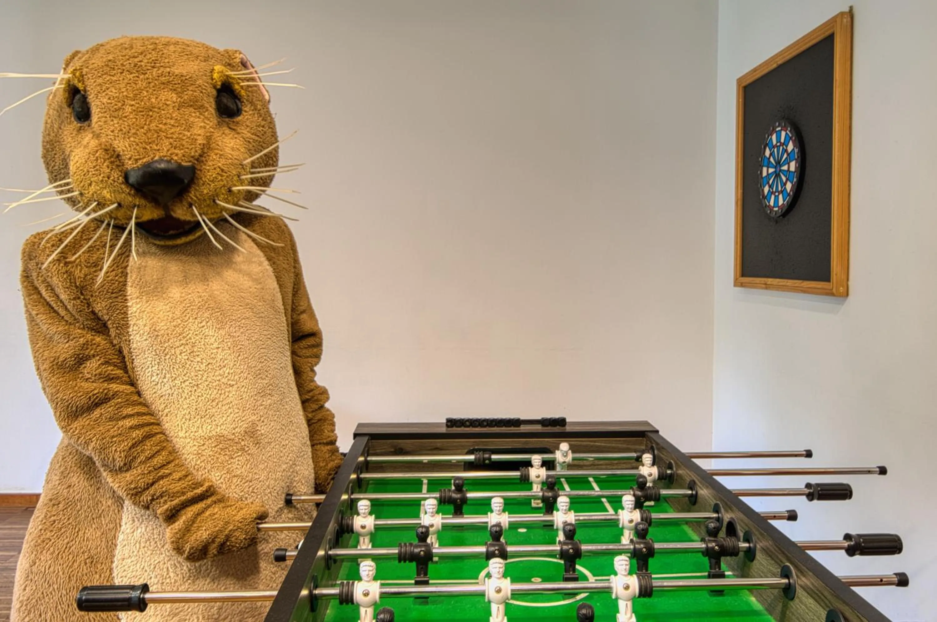 Game Room in Tisza Balneum Hotel