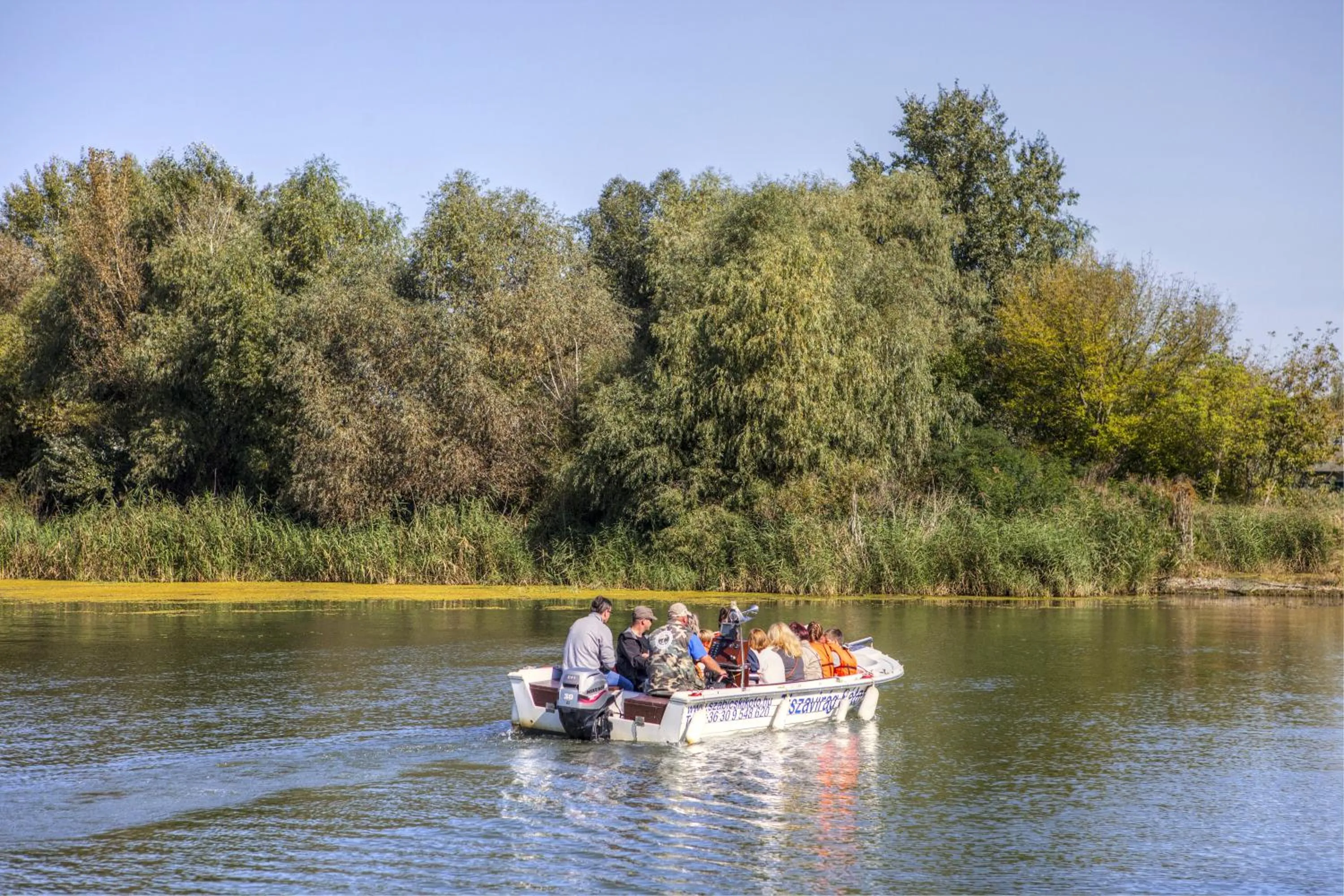 Area and facilities in Tisza Balneum Hotel