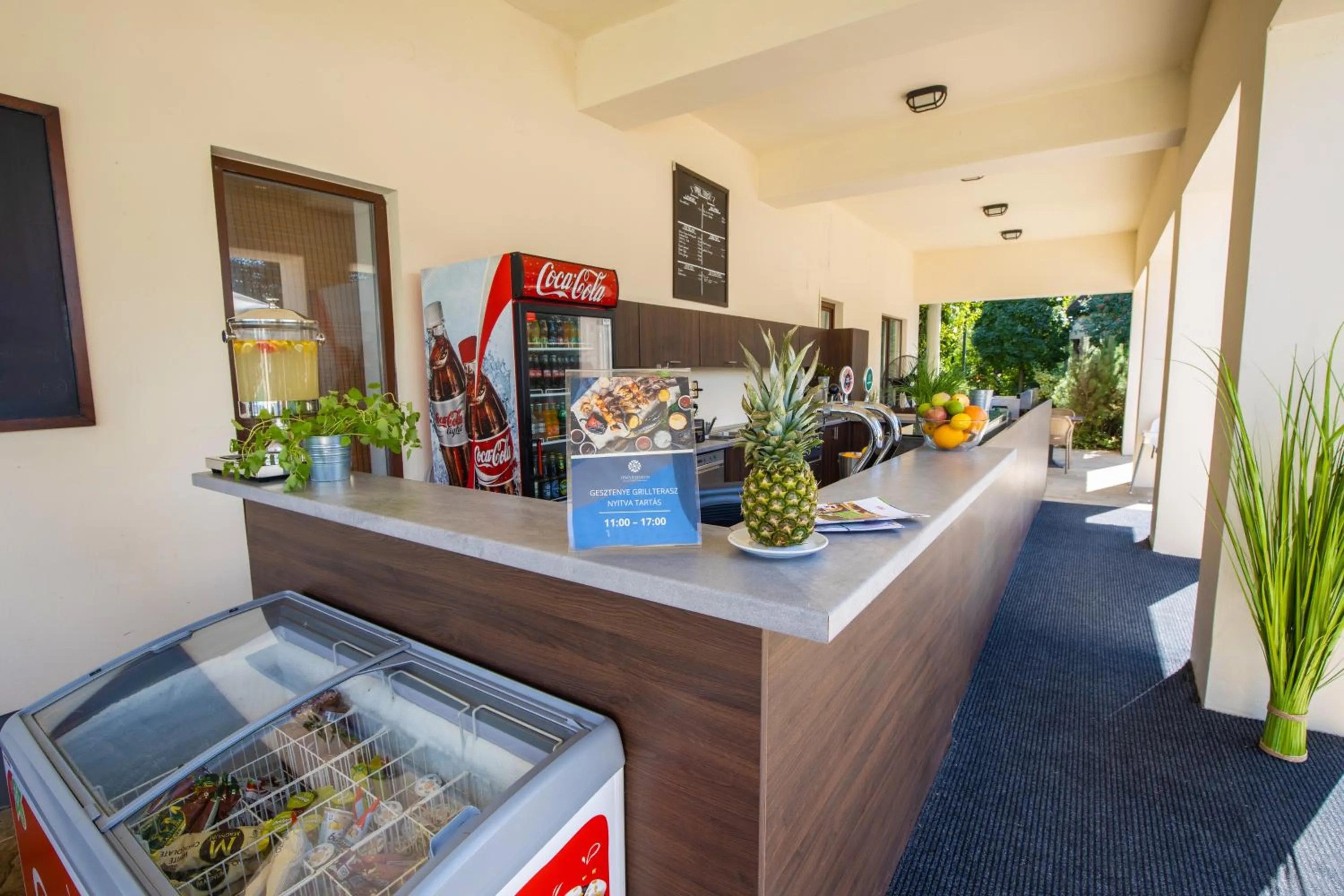 BBQ facilities in Tisza Balneum Hotel